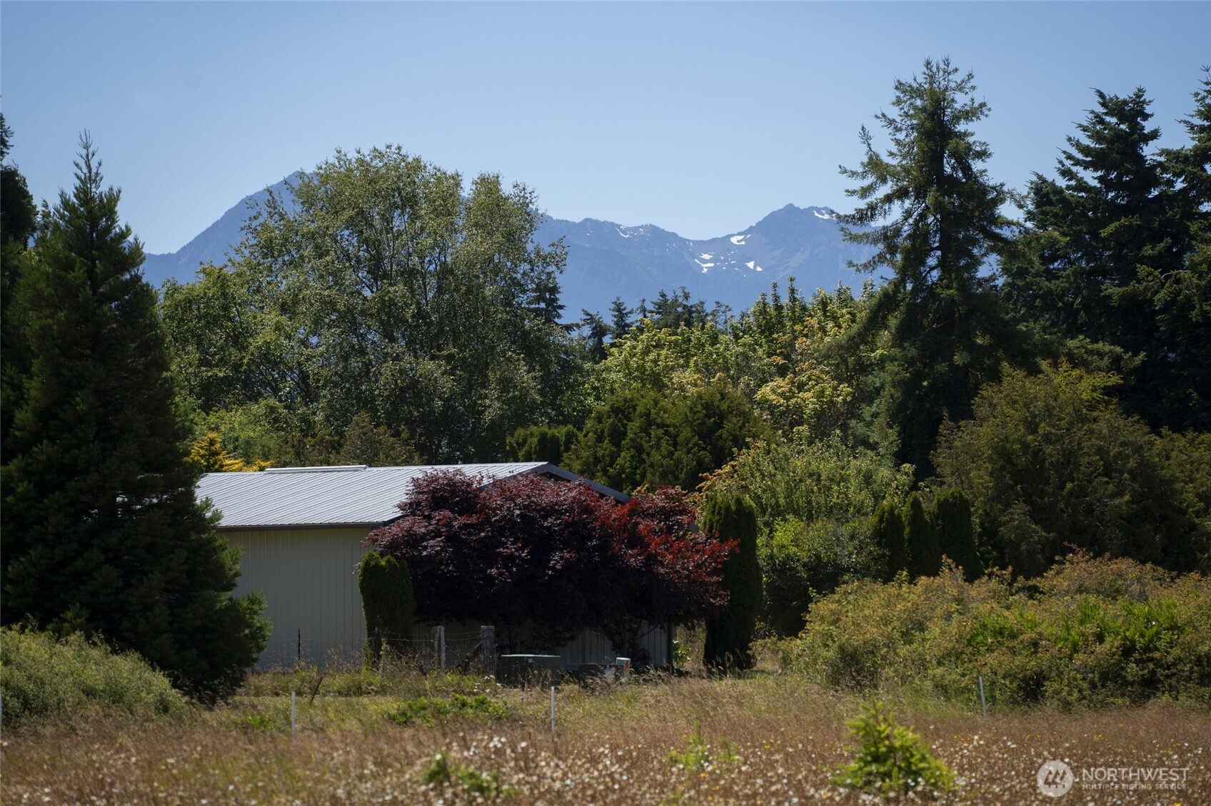 503 Roberson Road Sequim, WA 98382 - Photo 6 of 26 Gallery Image 6