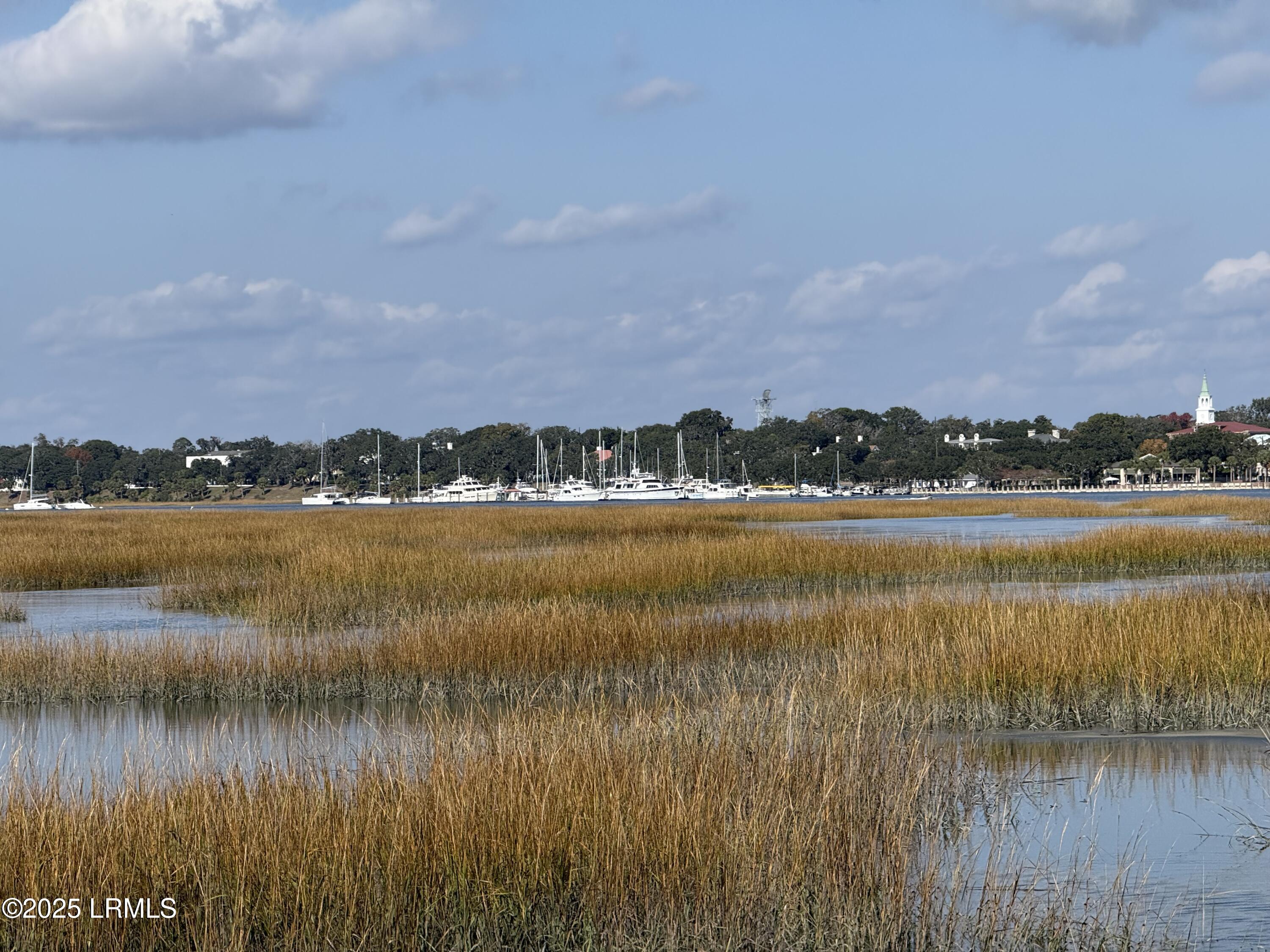 6 Harborview Circle Beaufort, SC 29907 - Photo 58 of 63 IMG_0929