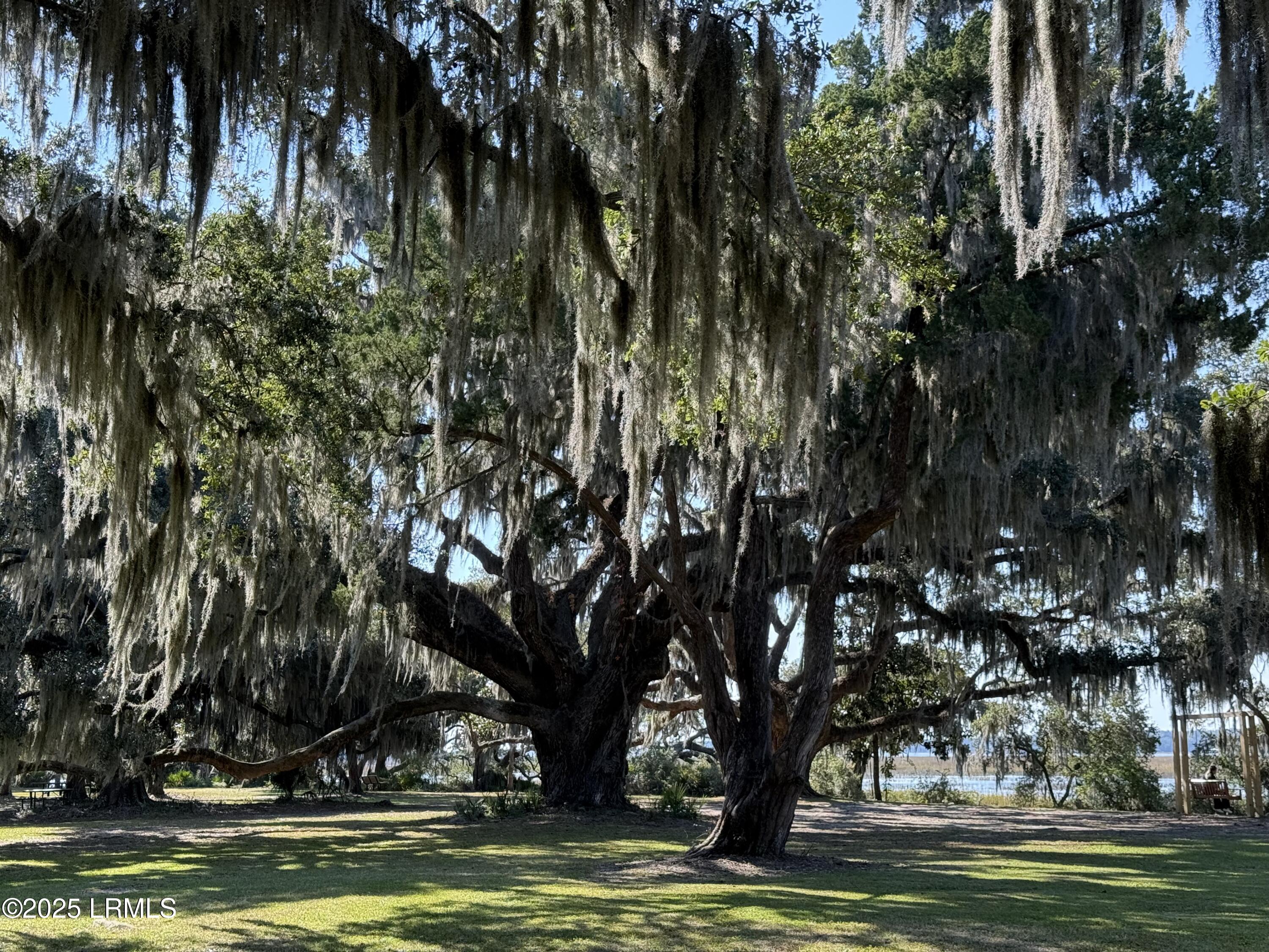 6 Harborview Circle Beaufort, SC 29907 - Photo 59 of 63 IMG_0934