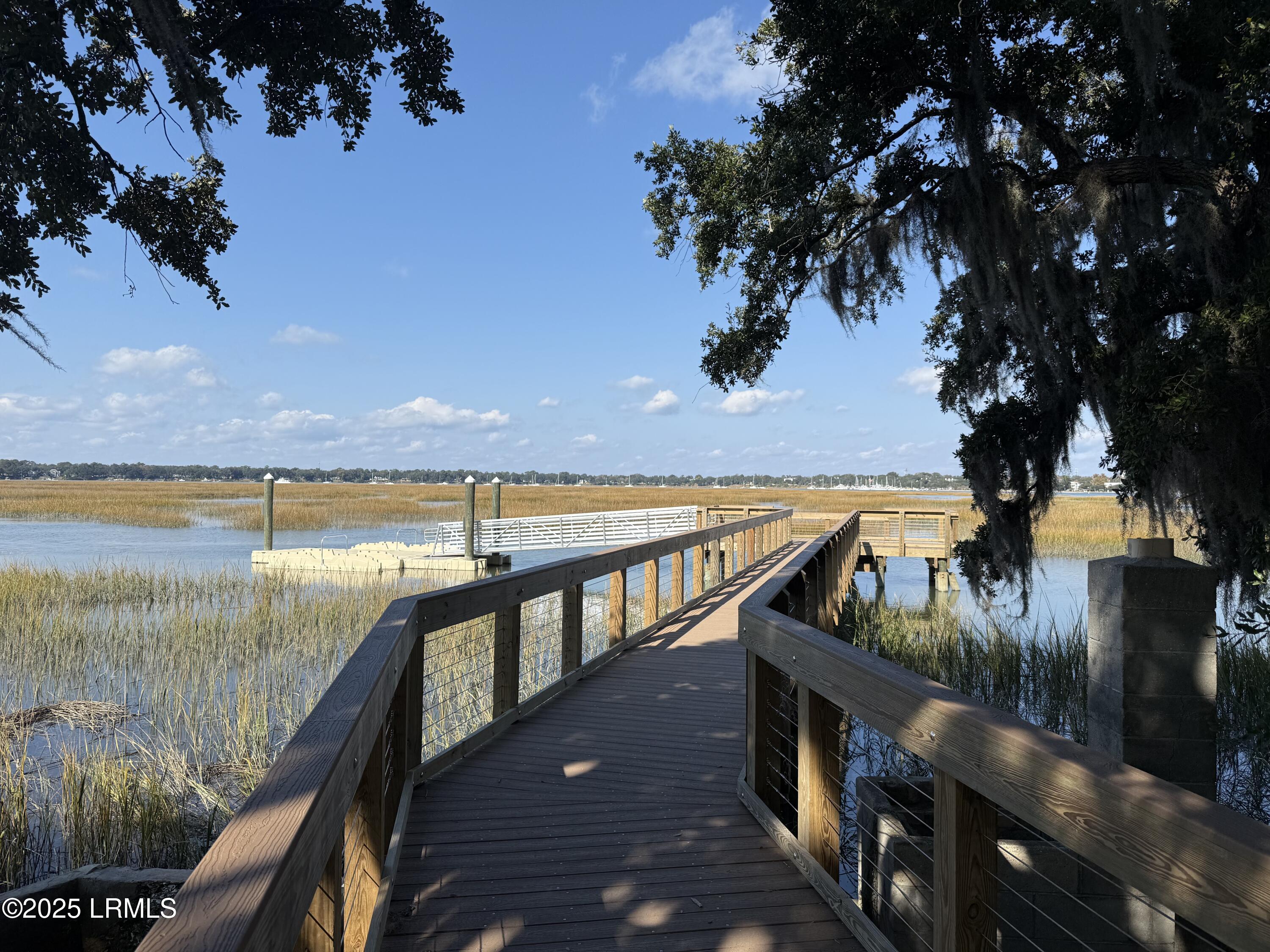 6 Harborview Circle Beaufort, SC 29907 - Photo 61 of 65 IMG_0925