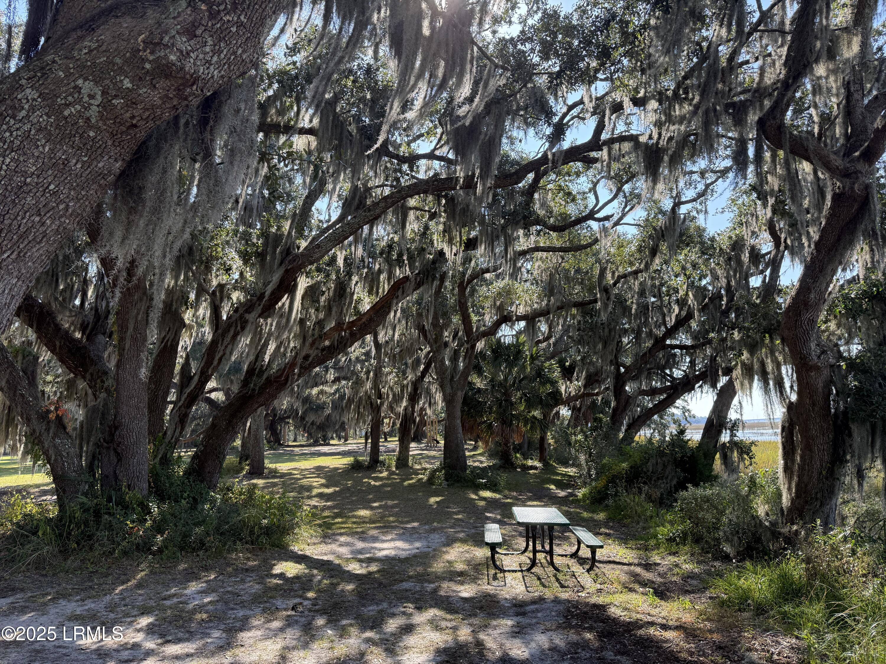 6 Harborview Circle Beaufort, SC 29907 - Photo 63 of 63 IMG_0930
