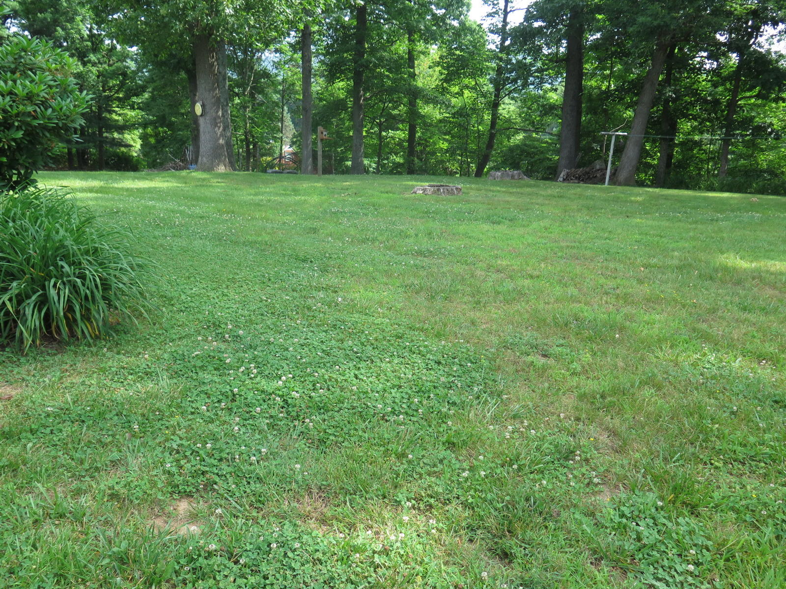 470 Blue Ridge Drive Blue Ridge, VA 24064 - Photo 17 of 17 Back Yard