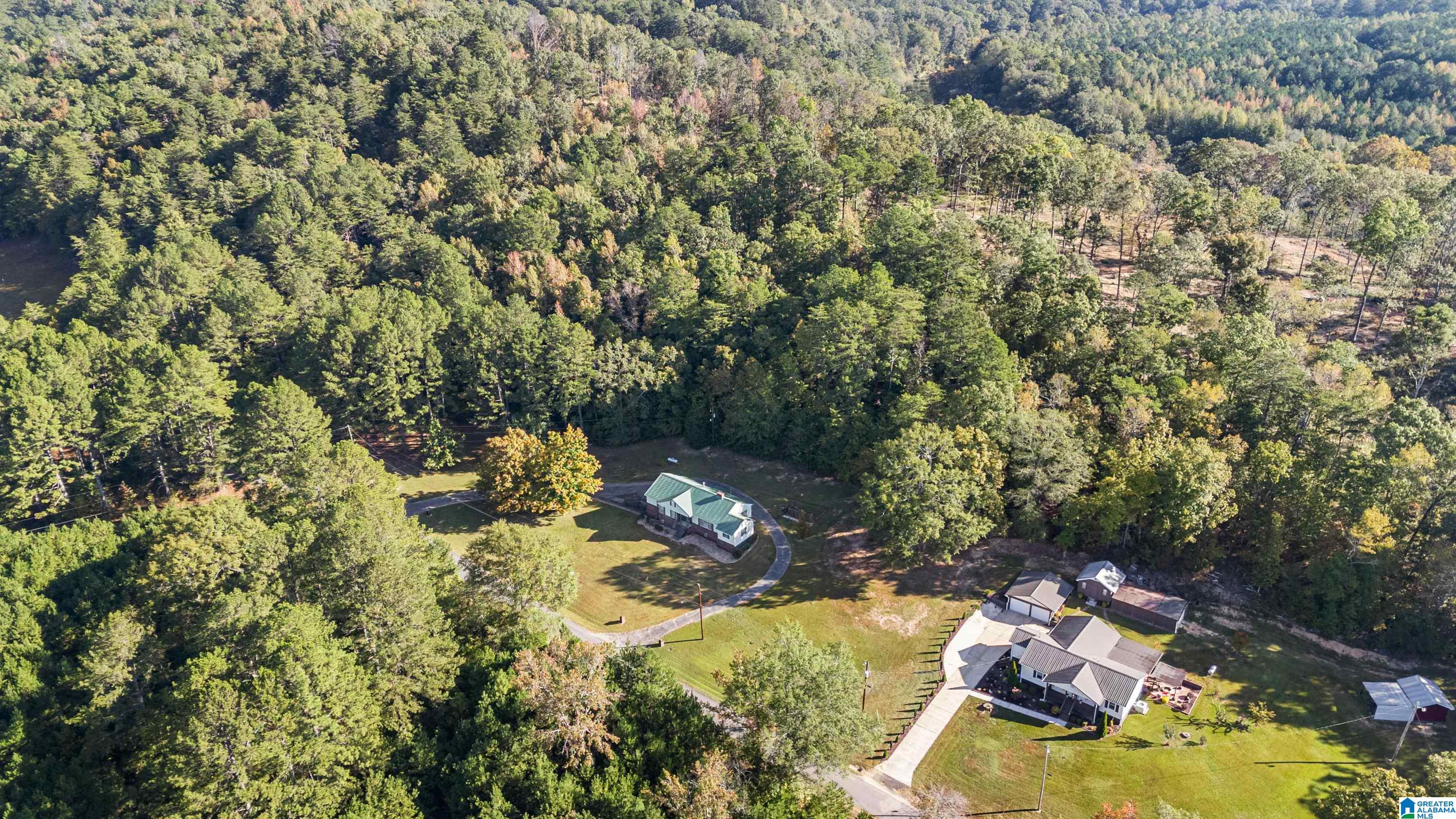 6403 Bibby Brick Yard Road Dora, AL 35062 - Photo 39 of 45