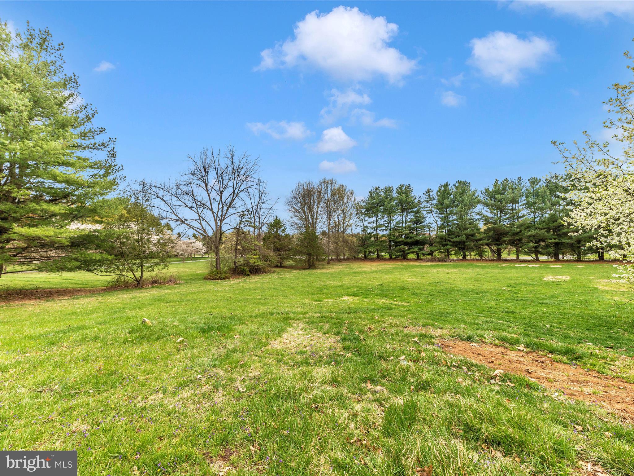 9513 Huntmaster Road Gaithersburg, MD 20882 - Photo 41 of 51 a view of yard with green space