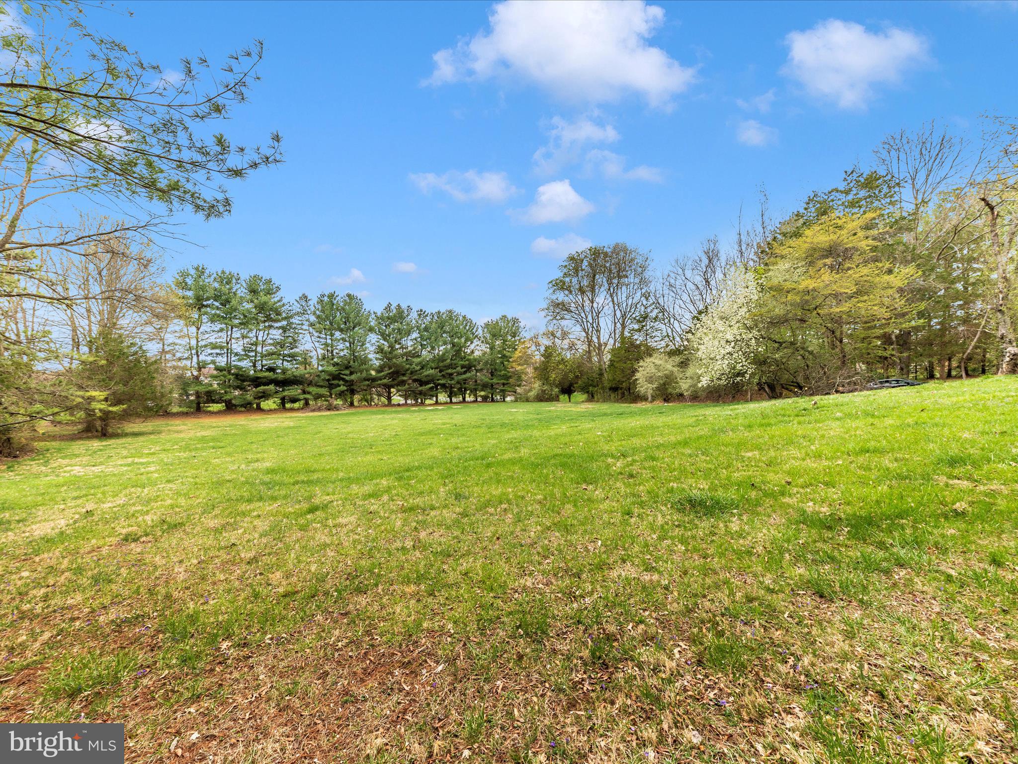 9513 Huntmaster Road Gaithersburg, MD 20882 - Photo 42 of 51 a view of a field with an trees