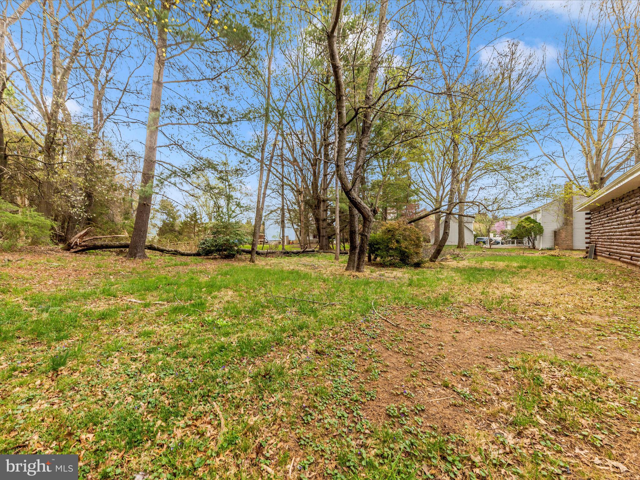 9513 Huntmaster Road Gaithersburg, MD 20882 - Photo 46 of 51 a view of a yard with tree s