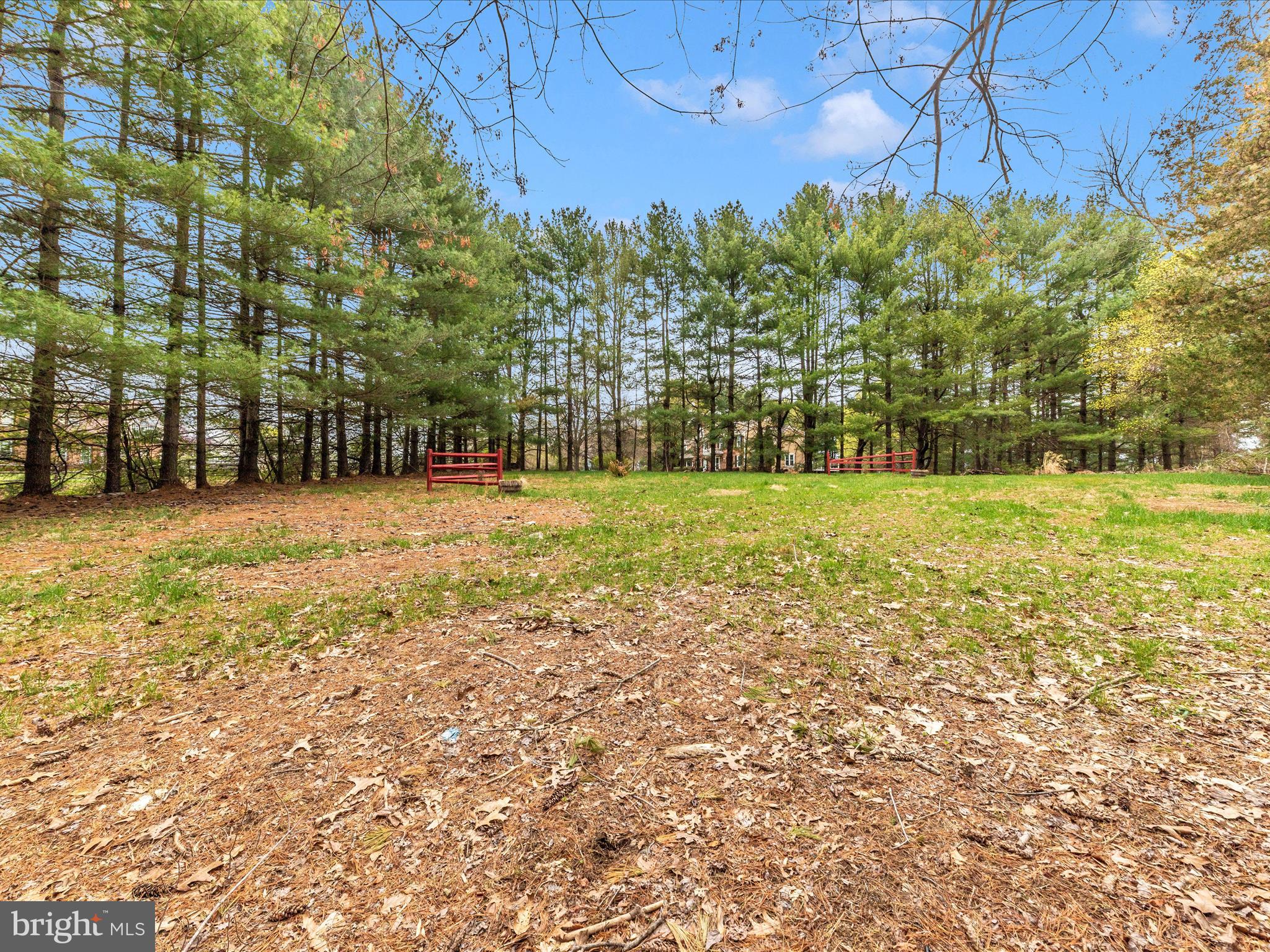 9513 Huntmaster Road Gaithersburg, MD 20882 - Photo 48 of 51 a view of a field with a tree