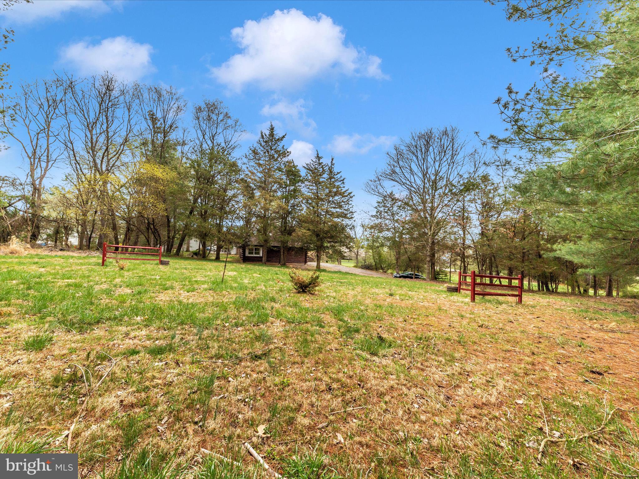 9513 Huntmaster Road Gaithersburg, MD 20882 - Photo 50 of 51 a view of yard with trees
