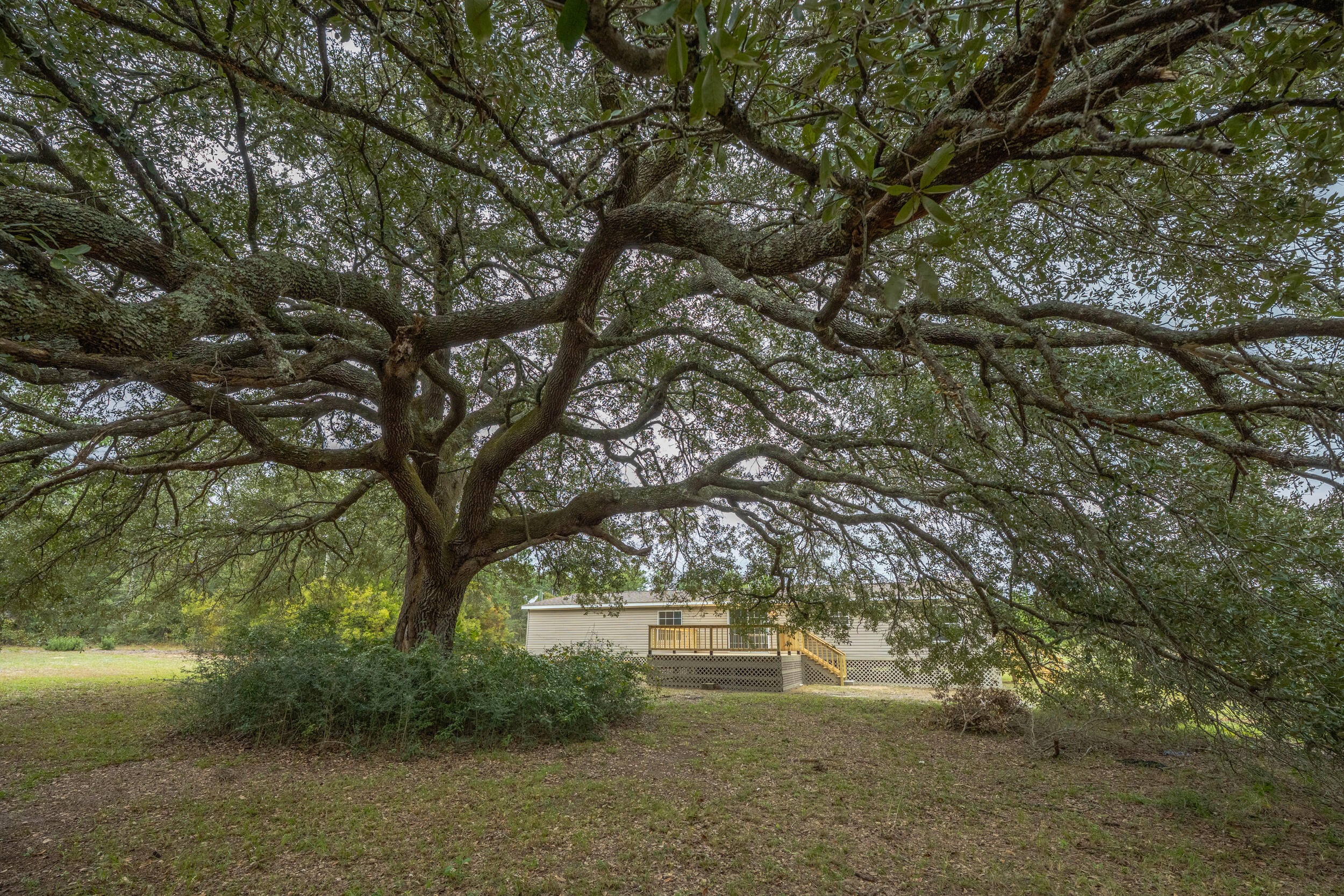 4580 Rainbird Rise Road Crestview, FL 32539 - Photo 41 of 41 a backyard of a house with lots of green space