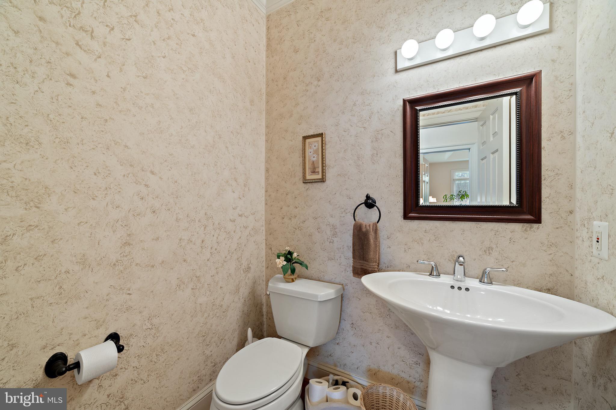 5462 Free State Road Marshall, VA 20115 - Photo 21 of 58 a bathroom with a sink mirror and toilet