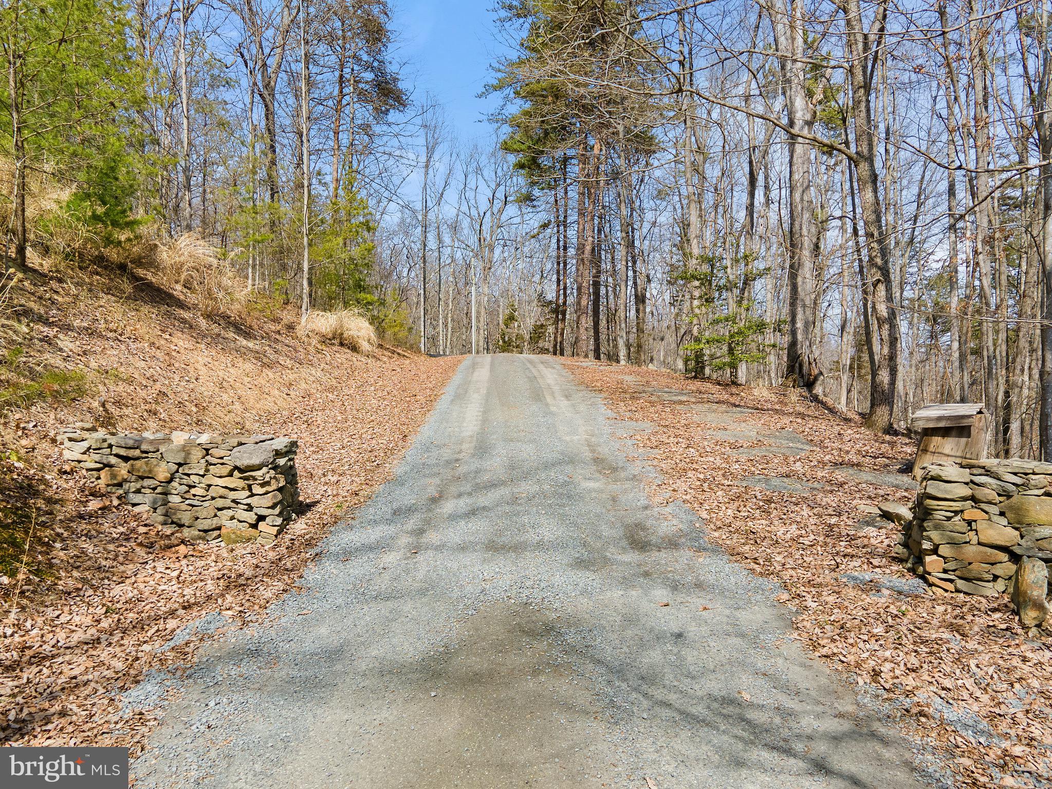 5462 Free State Road Marshall, VA 20115 - Photo 42 of 58 a view of backyard space