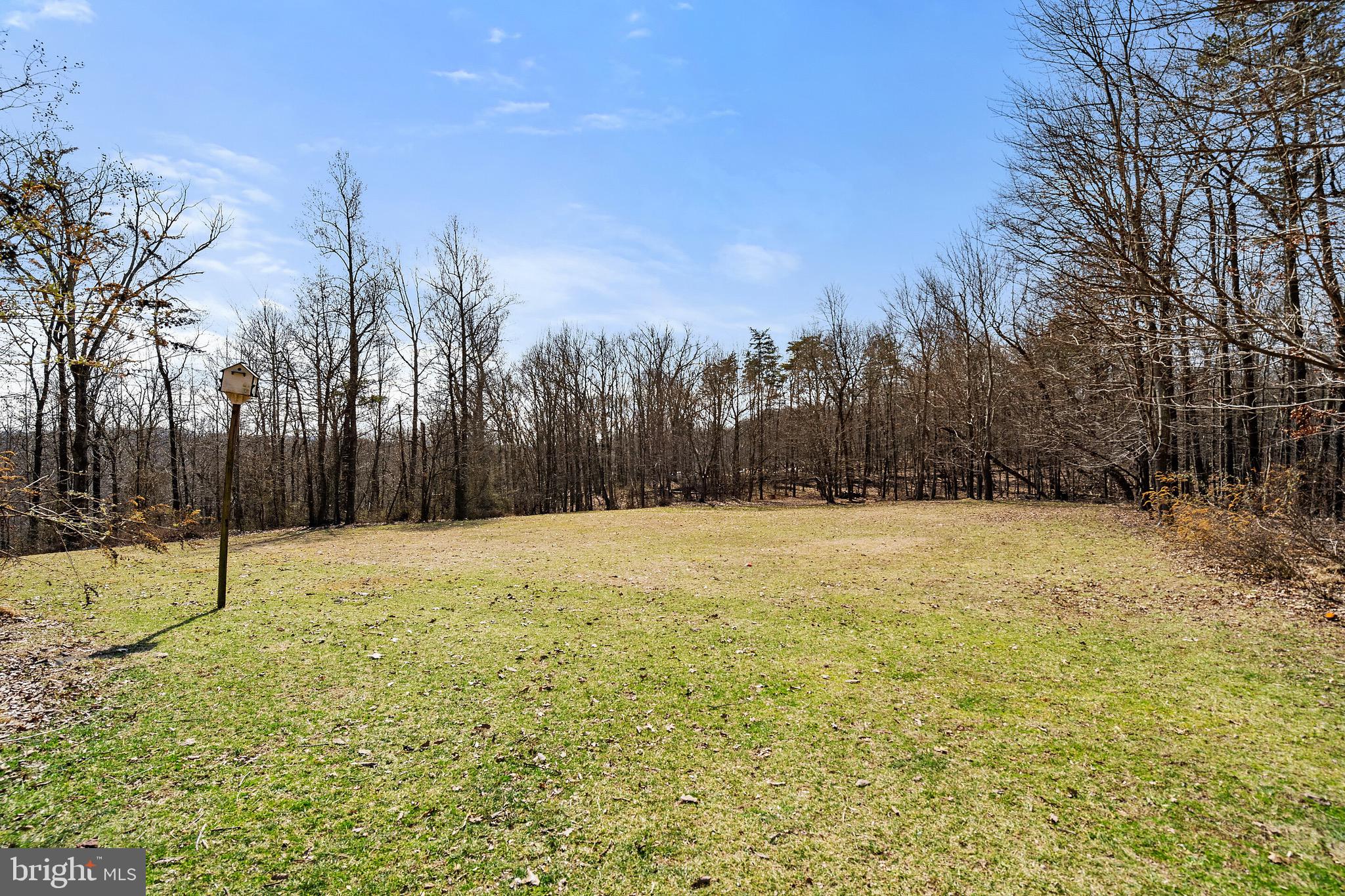 5462 Free State Road Marshall, VA 20115 - Photo 48 of 58 a view of pool and trees in the background