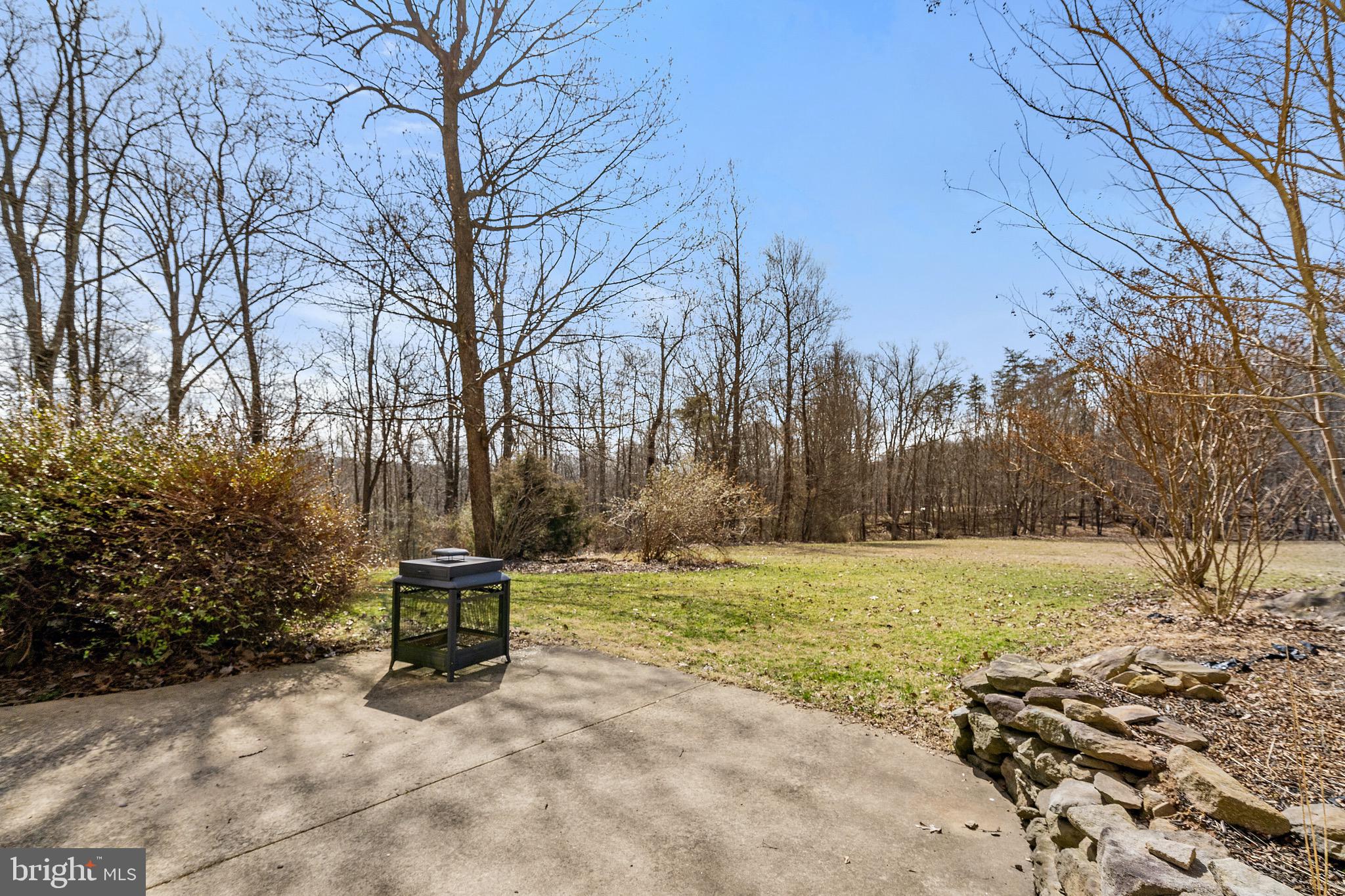 5462 Free State Road Marshall, VA 20115 - Photo 50 of 58 a view of outdoor space with trees