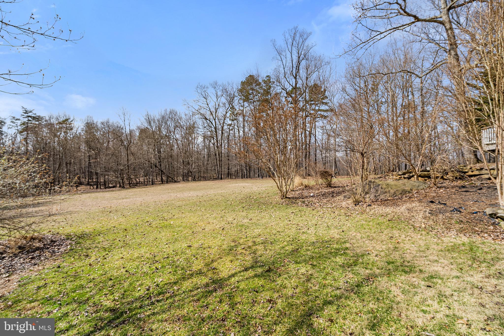 5462 Free State Road Marshall, VA 20115 - Photo 51 of 58 a view of yard with trees