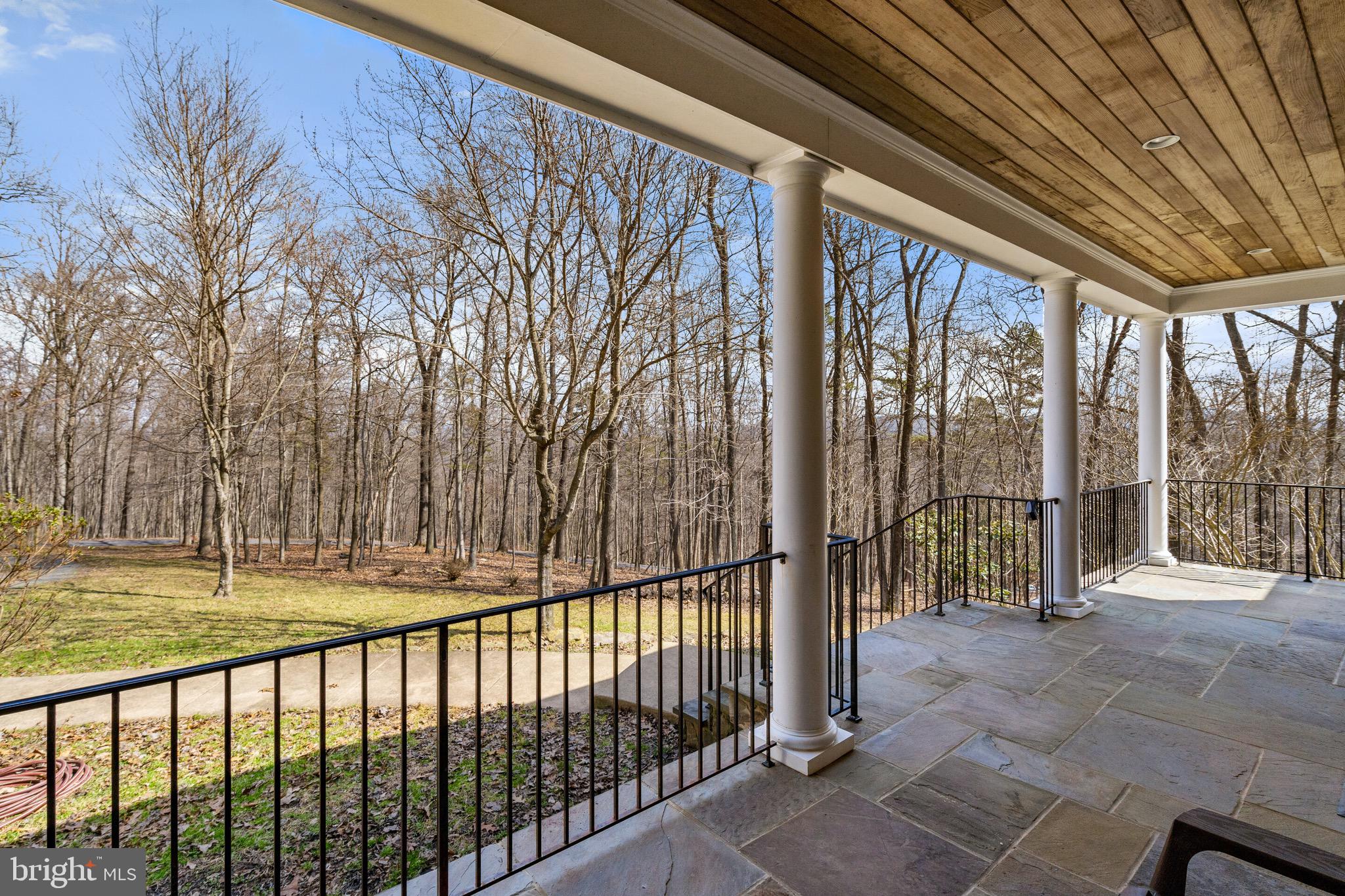 5462 Free State Road Marshall, VA 20115 - Photo 54 of 58 a view of backyard with large trees and wooden fence