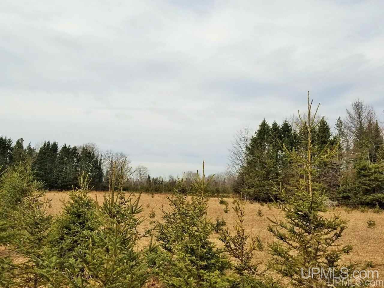 Tbd Stelzer Road Gulliver, MI 49840 - Photo 2 of 26