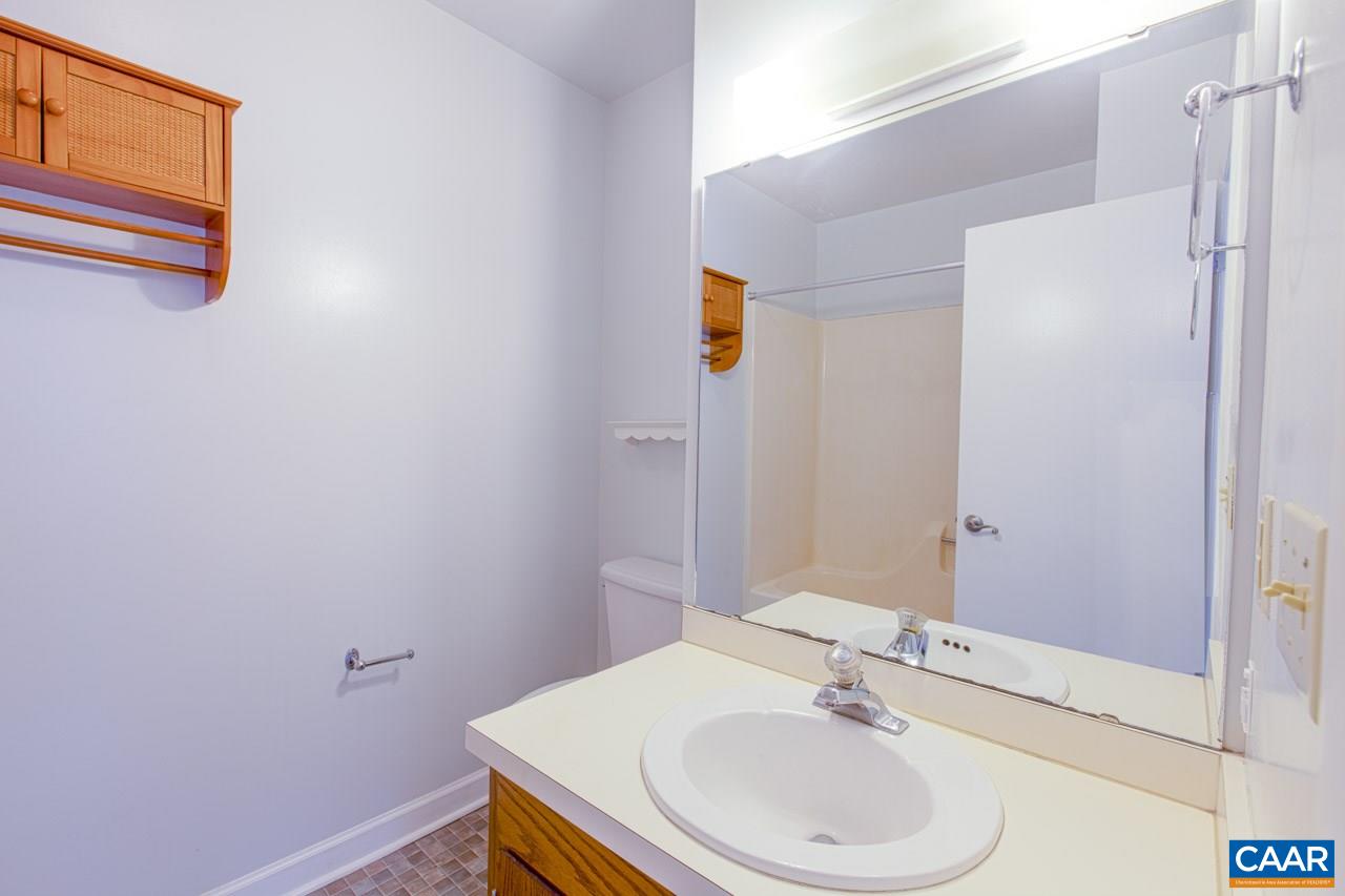 124 Blithe Court Charlottesville, VA 22901 - Photo 48 of 50 Gallery Image 48