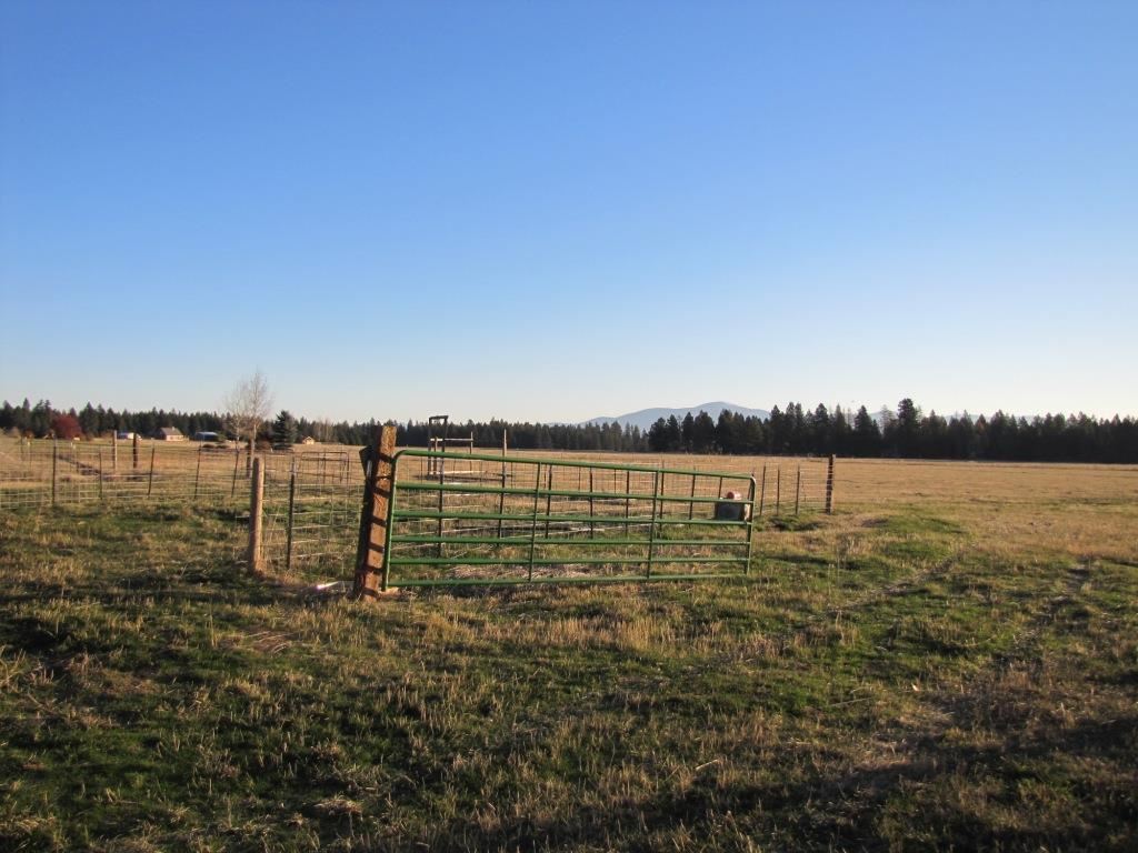 19212 North Austin Road Colbert, WA 99005 - Photo 19 of 20