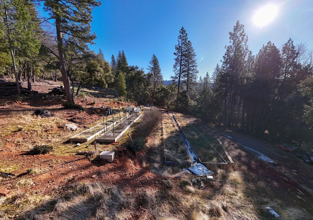 17841 Blue Ridge Road Nevada City, CA 95959 - Photo 40 of 53