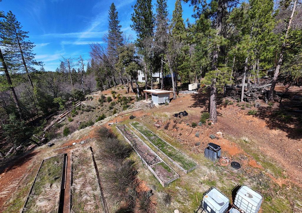 17841 Blue Ridge Road Nevada City, CA 95959 - Photo 42 of 53