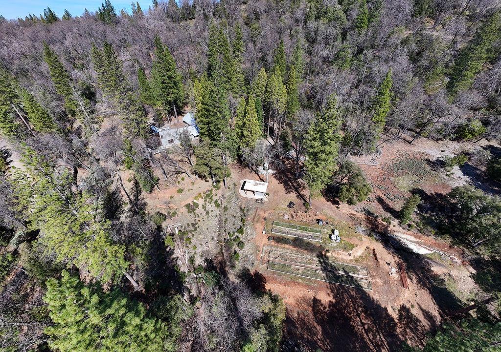 17841 Blue Ridge Road Nevada City, CA 95959 - Photo 43 of 53