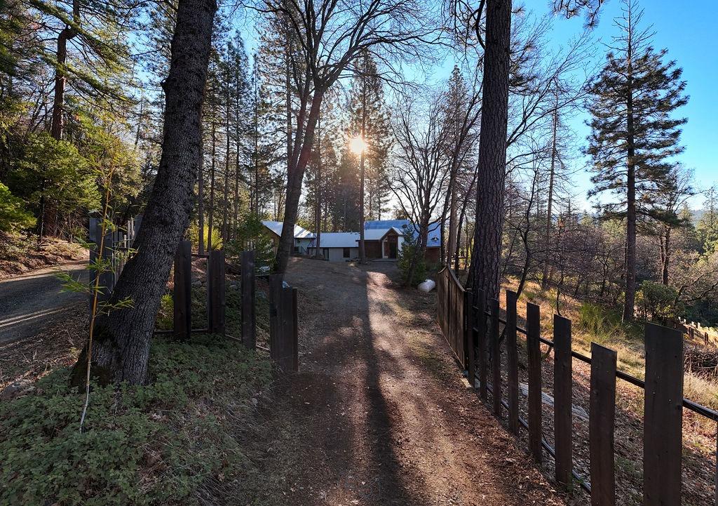 17841 Blue Ridge Road Nevada City, CA 95959 - Photo 48 of 53