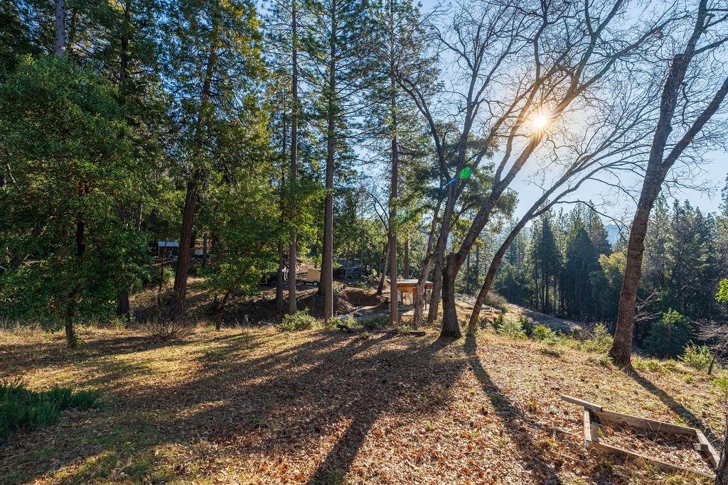 17841 Blue Ridge Road Nevada City, CA 95959 - Photo 53 of 53