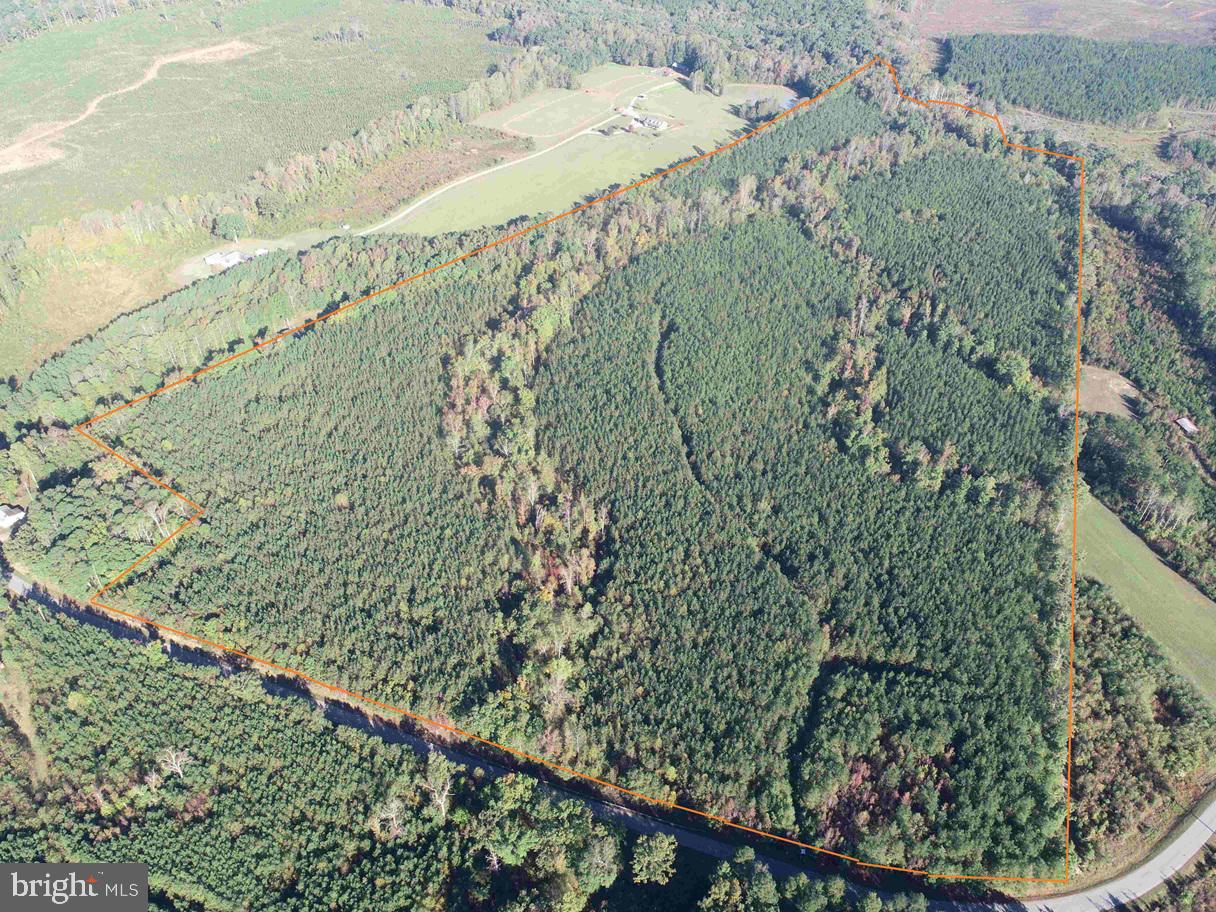 a view of a green field with lots of green space