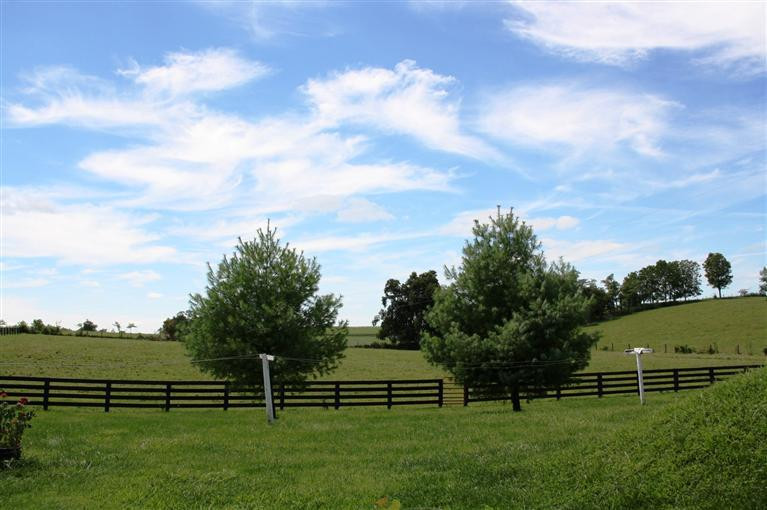 227 Youngs Mill Road Paris, KY 40361 - Photo 7 of 21 Photo 7