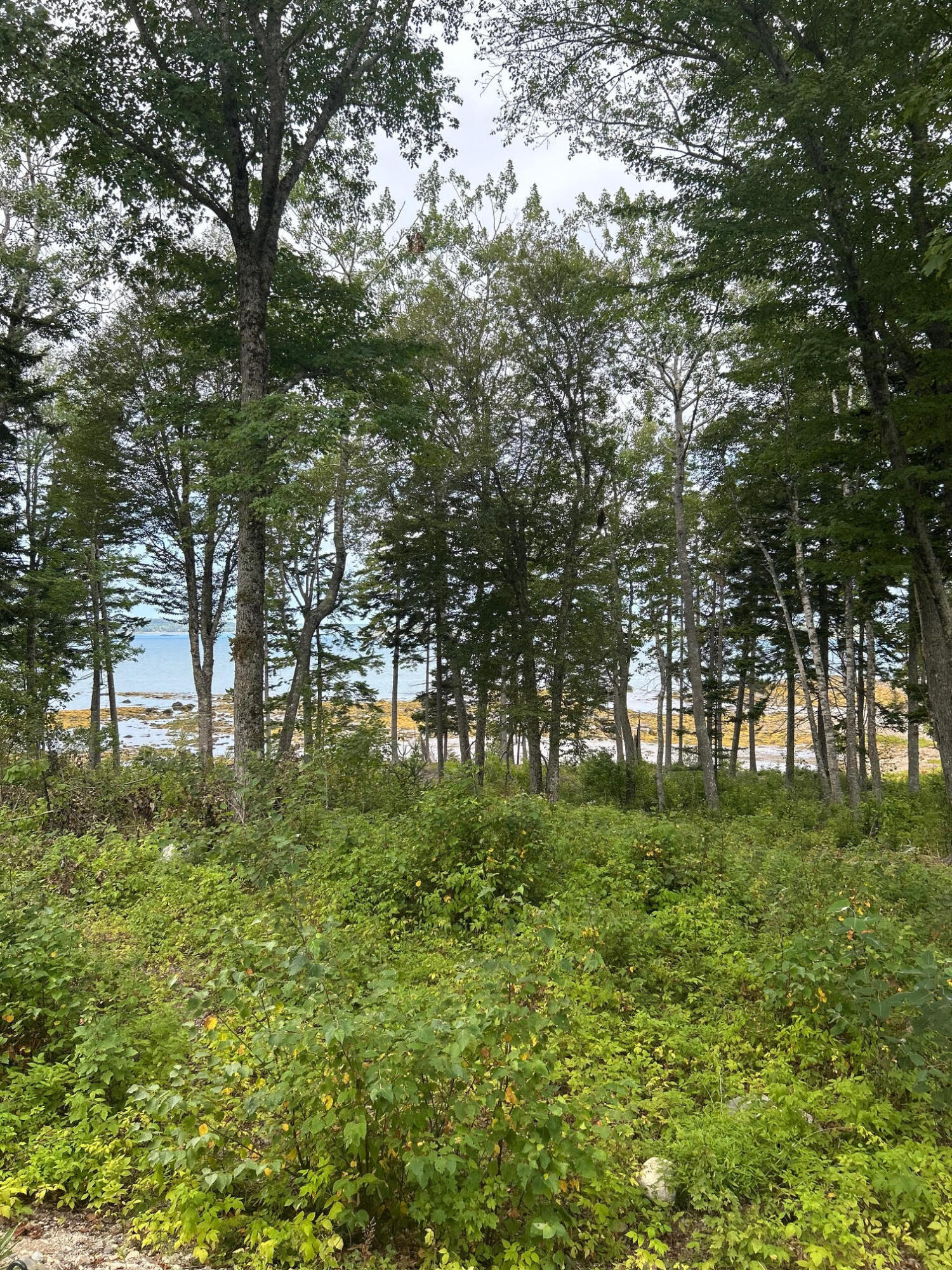 216 South Estates Road Steuben, ME 04680 - Photo 5 of 15