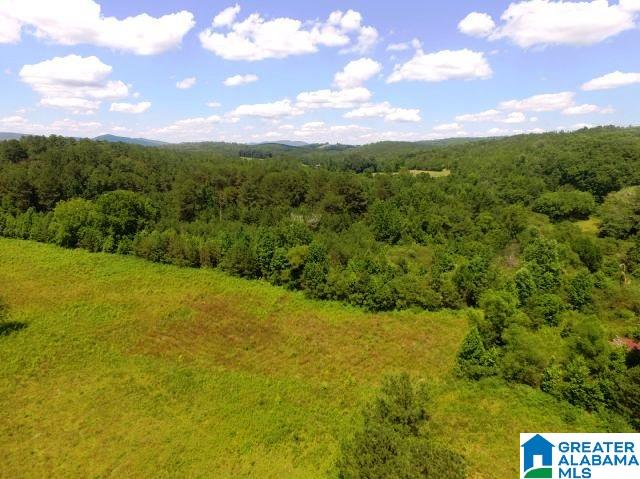 436 Newbury's Road, Unit 79 ACRES Ashland, AL 36251 - Photo 12 of 27