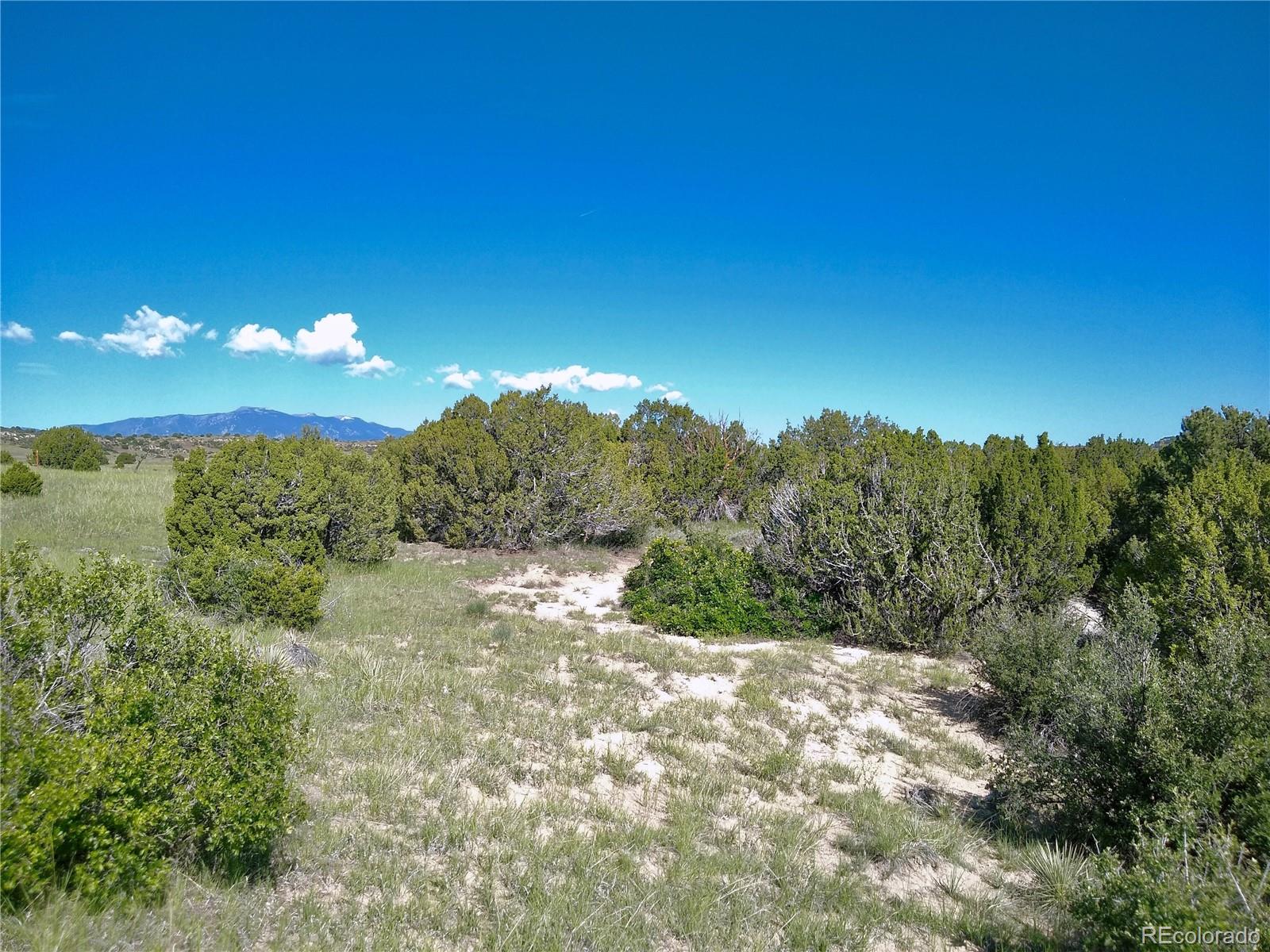 0 County 113 Lane Rye, CO 81069 - Photo 41 of 50 Gallery Image 41