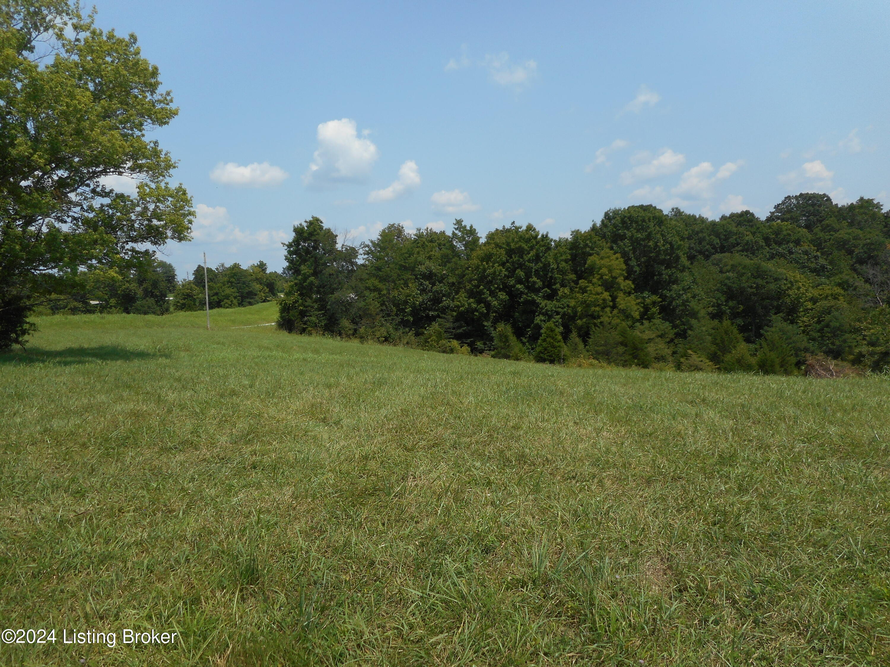 3 Ten 10 Mile Road Mount Eden, KY 40046 - Photo 9 of 9 DSCN4634