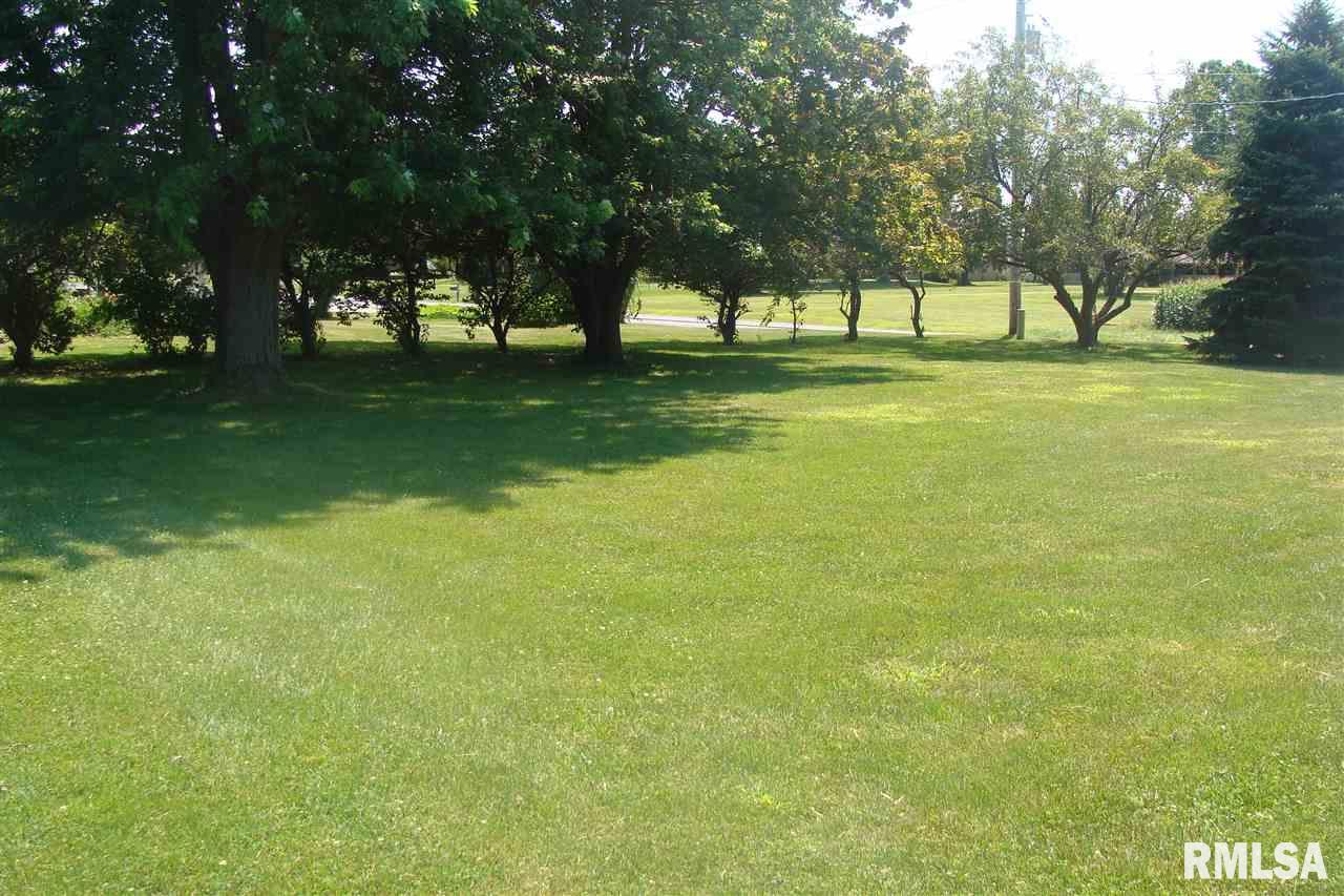 710 North Quarry Road Trivoli, IL 61569 - Photo 8 of 19