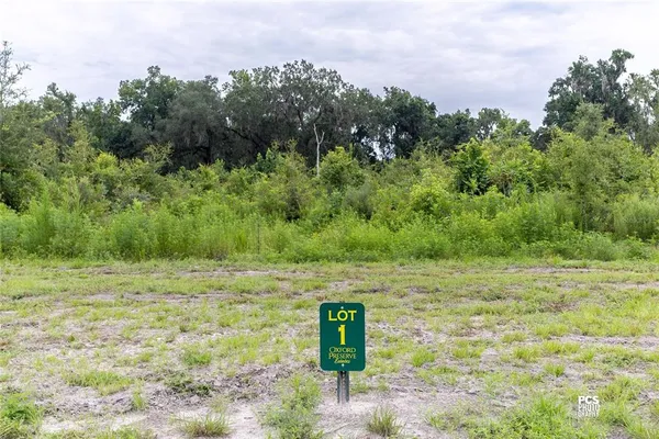 a view of a field with trees in the background
