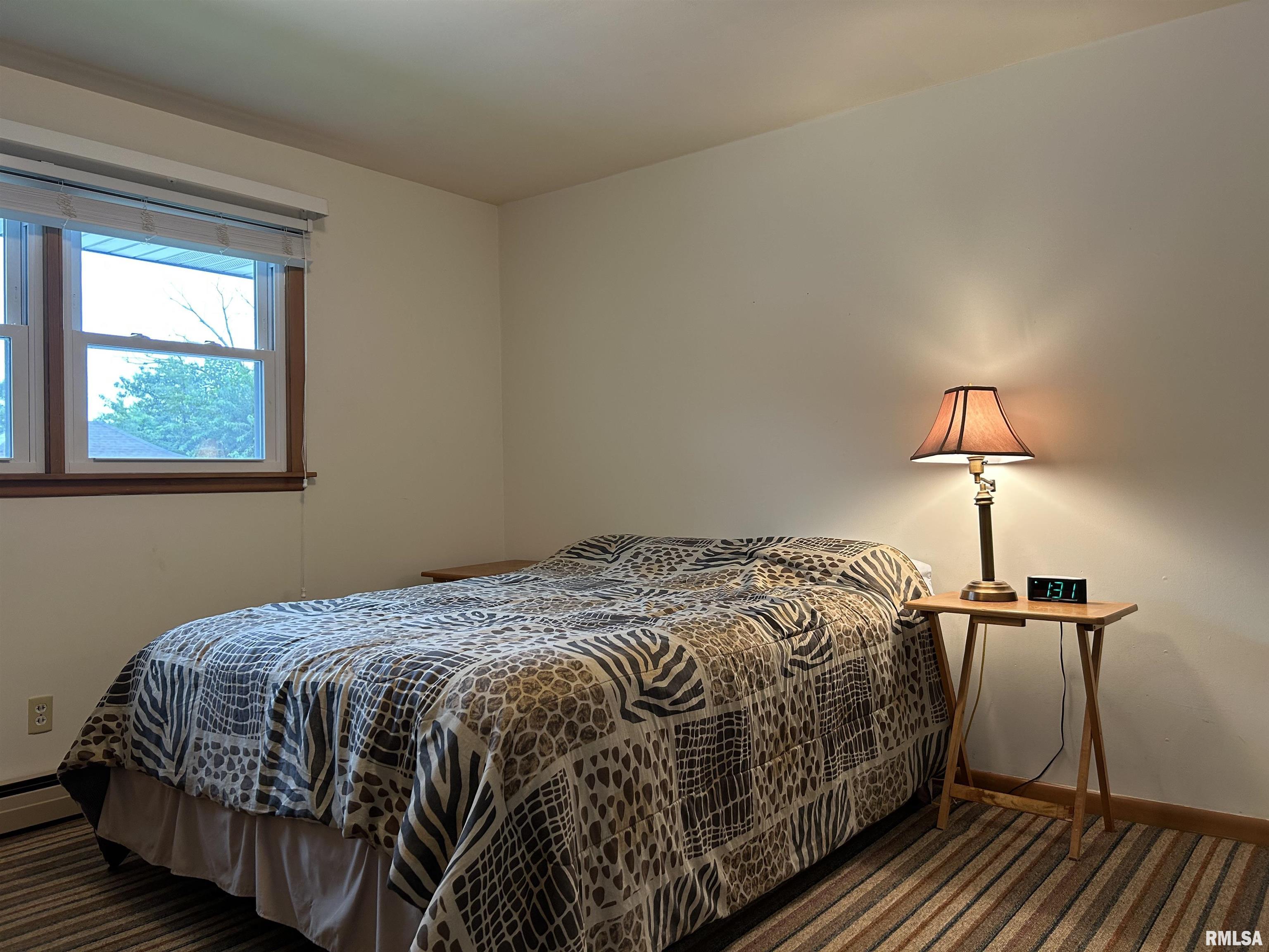214 West State Place Washburn, IL 61570 - Photo 13 of 54