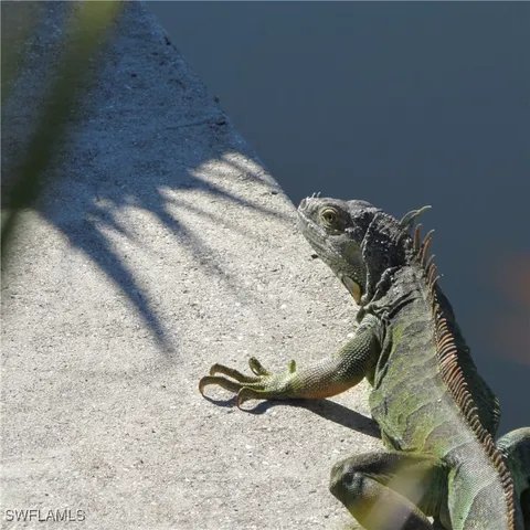 $129,999 | 5004 Gulfgate Lane, St. James City, FL 33956