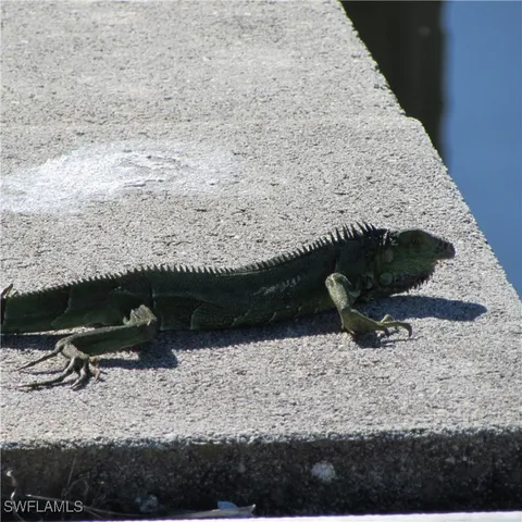 $129,999 | 5004 Gulfgate Lane, St. James City, FL 33956