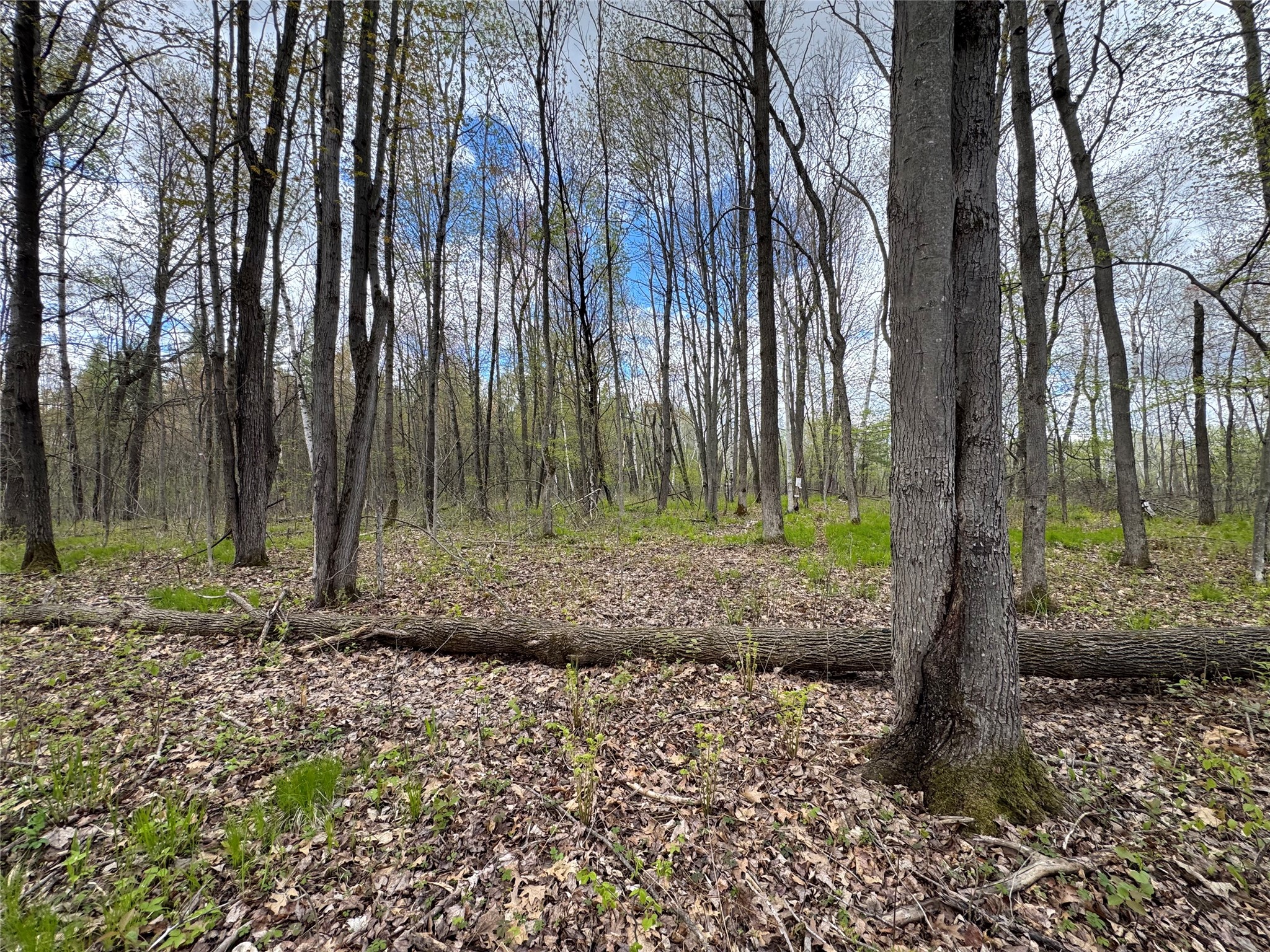 0 Ramer Road Bruce, WI 54819 - Photo 17 of 23