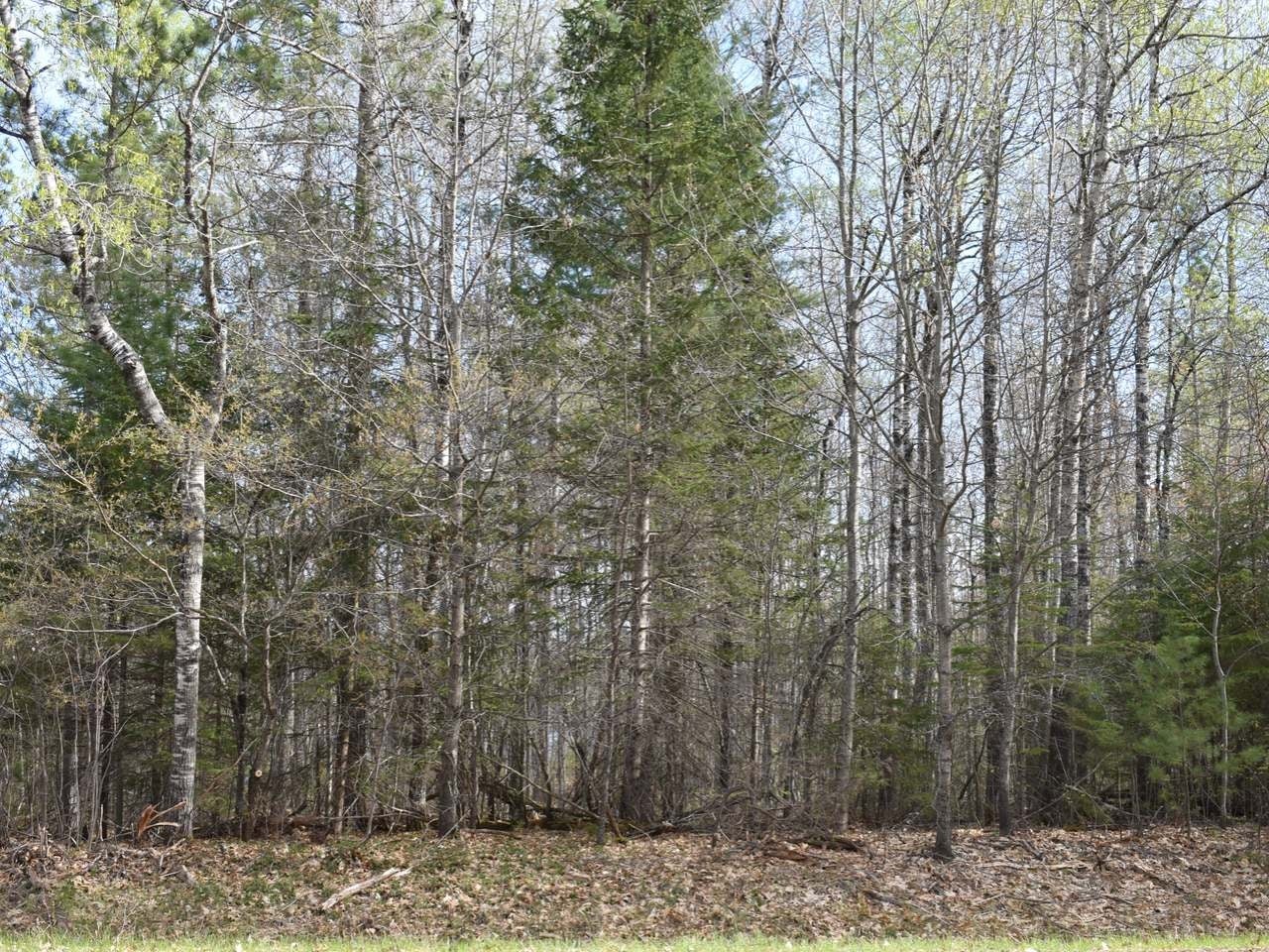 Lot 2 Kings Road Tomahawk, WI 54487 - Photo 9 of 9 Gallery Image 9