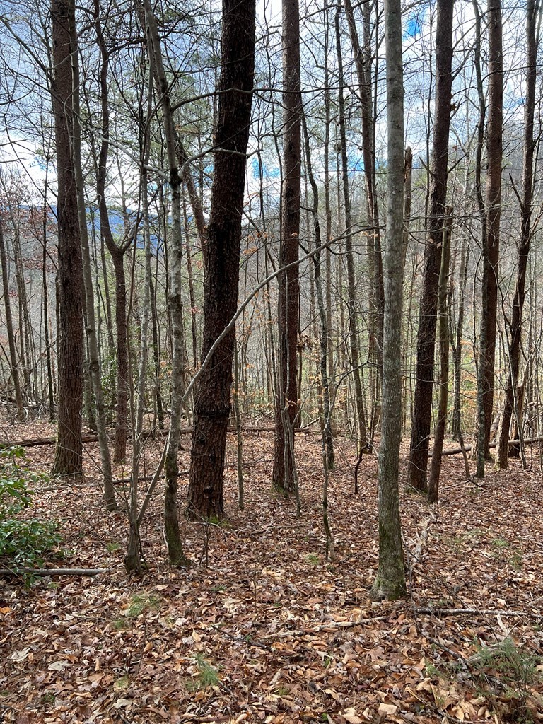 528 Caney Creek Road Cosby, TN 37722 - Photo 26 of 30 Gallery Image 26