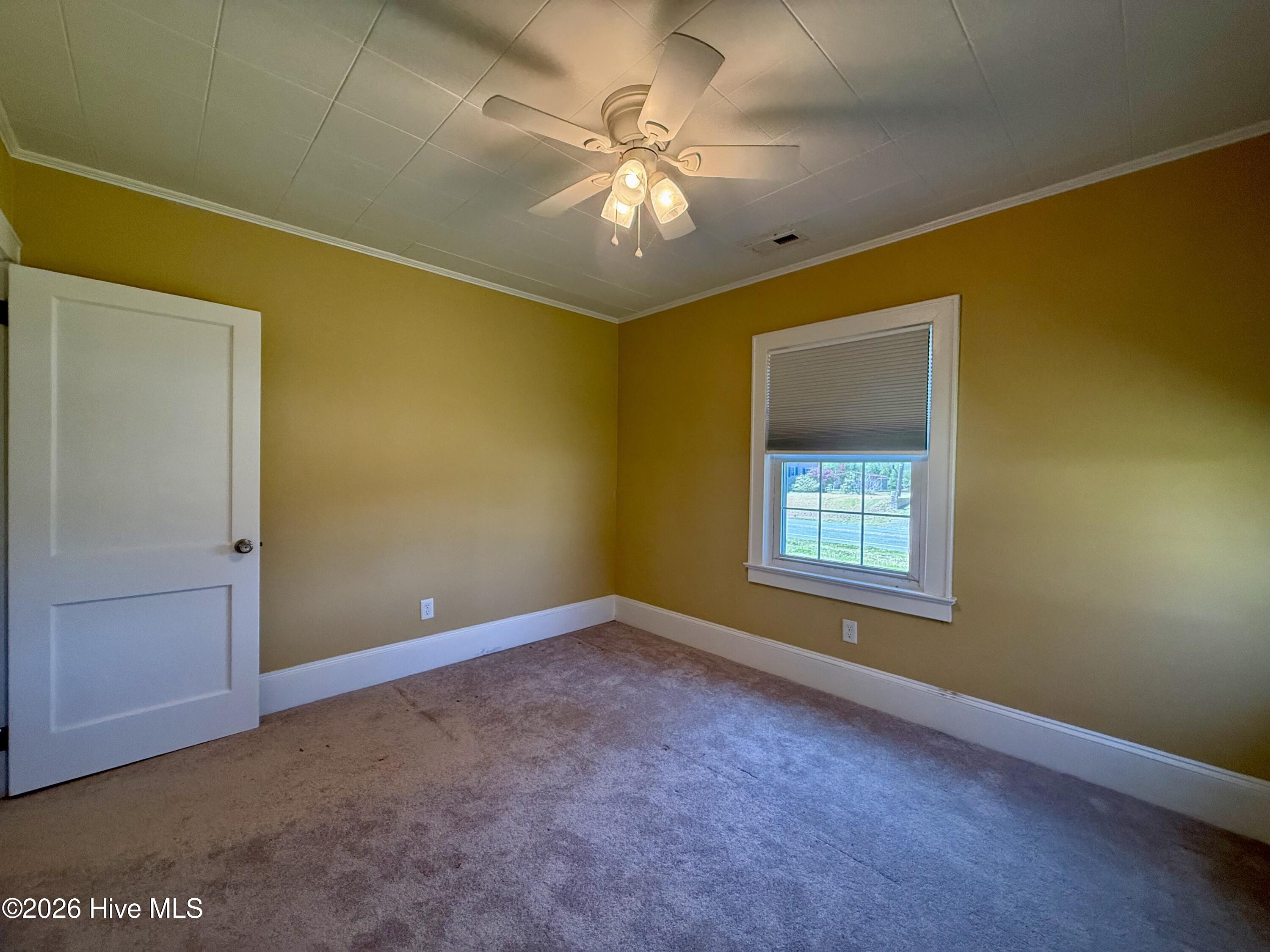3773 Bear Grass Road Williamston, NC 27892 - Photo 43 of 55 Guest Bedroom 1