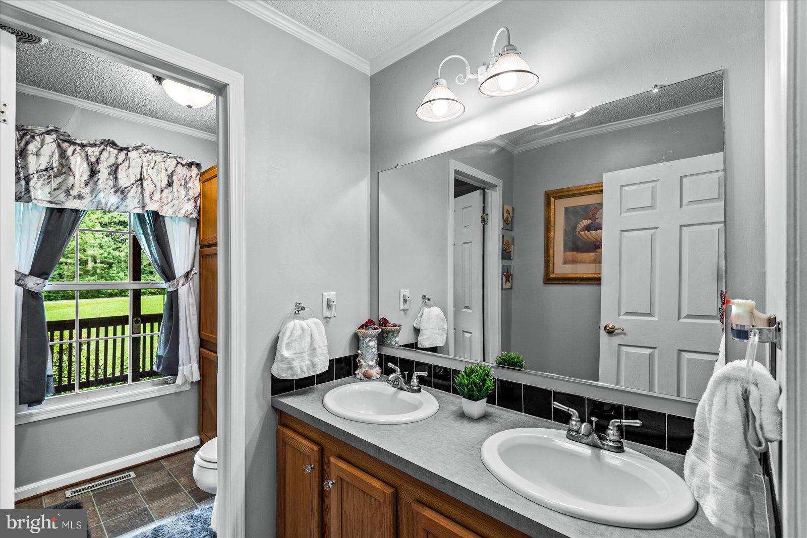 115 Anna Highview Drive Bumpass, VA 23024 - Photo 11 of 40 Double Vanity Bathroom