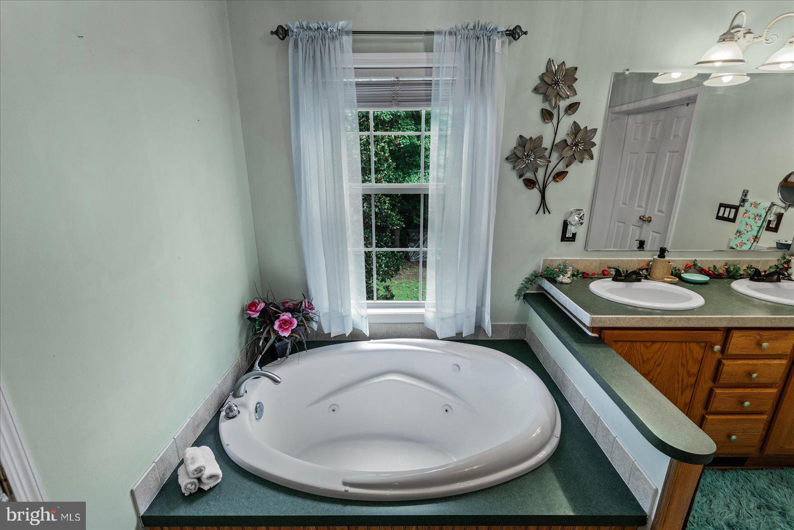 115 Anna Highview Drive Bumpass, VA 23024 - Photo 15 of 40 Large Soaking Tub