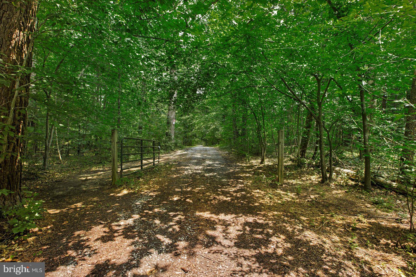 115 Anna Highview Drive Bumpass, VA 23024 - Photo 34 of 40 Road down to the common area.