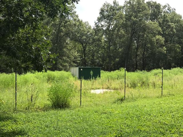 100 Alpine Way Road Manchester, TN 37355 - Photo 19 of 21 Gallery Image 19