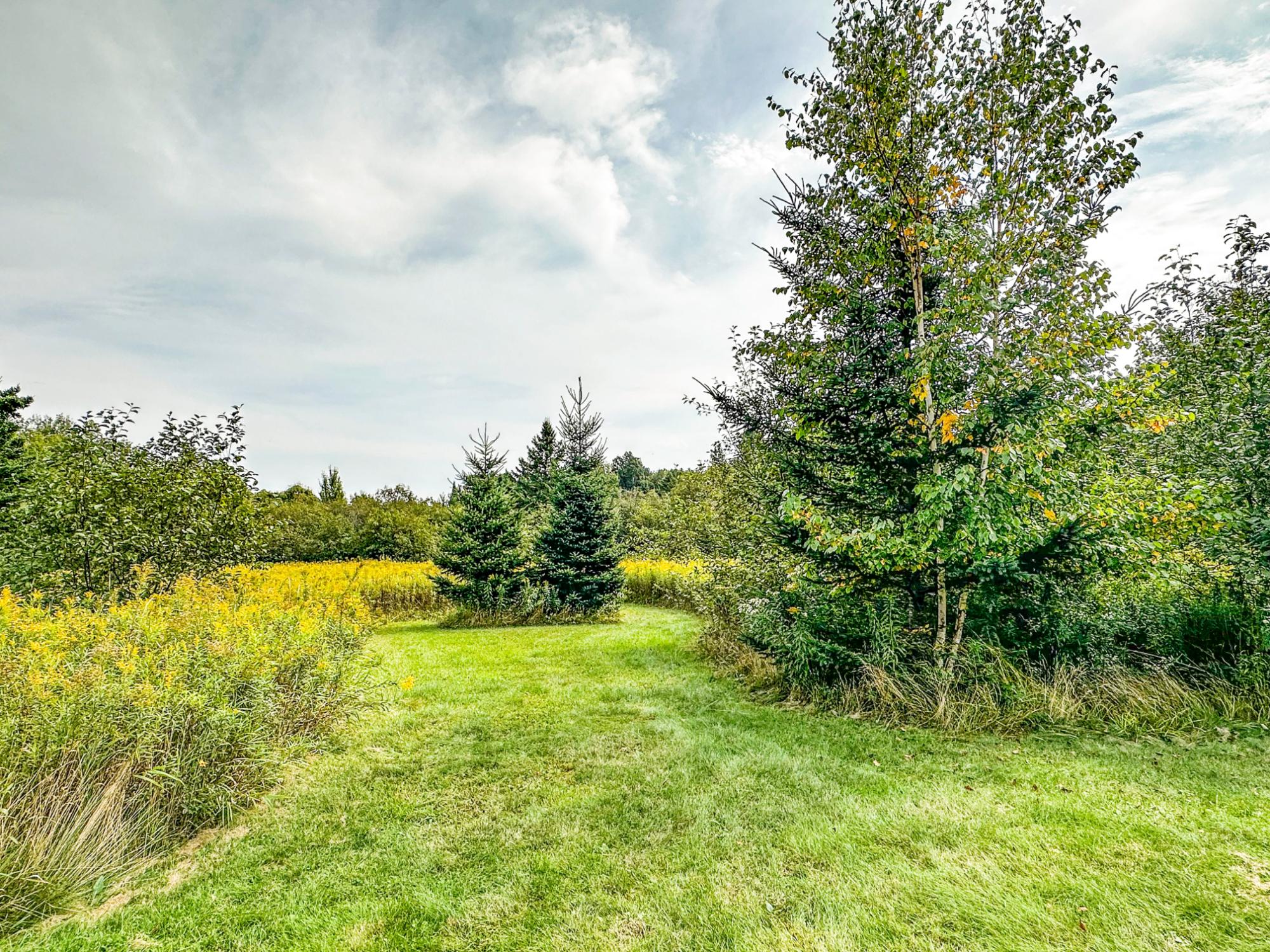 N5560 Rusk Road Hawkins, WI 54530 - Photo 33 of 51 Gallery Image 33