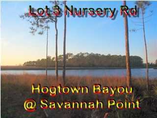 Lot 3 Nursery Road Santa Rosa Beach, FL 32459 - Photo 1 of 1 Gallery Image 1