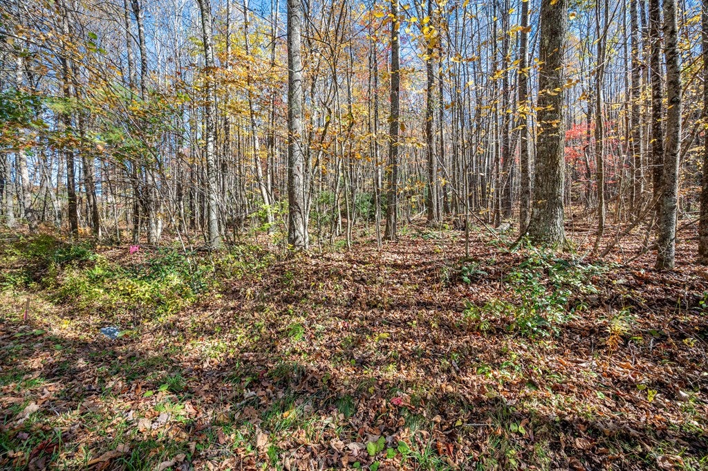897 Phadettia Road Southwest Willis, VA 24380 - Photo 17 of 21 Gallery Image 17