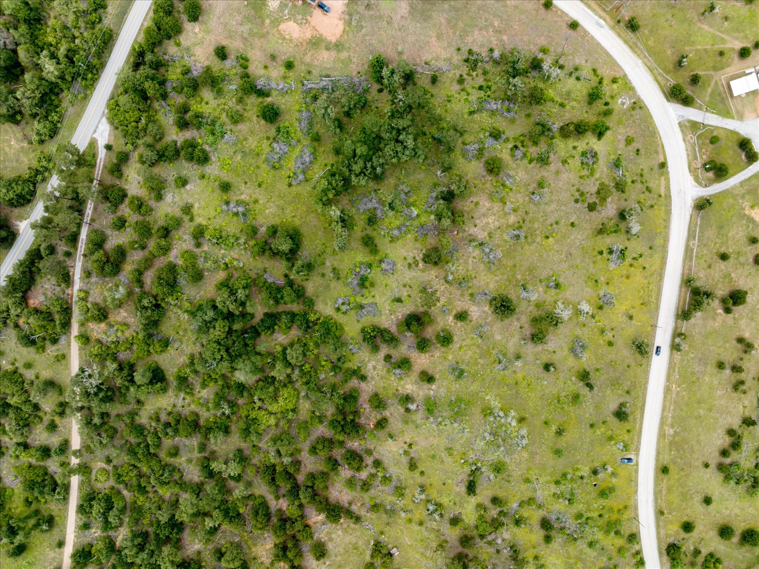 0 McAllister Road Bastrop, TX 78602 - Photo 6 of 12 Vast land offering a harmonious blend of natural vegetation and ready-to-build spaces.